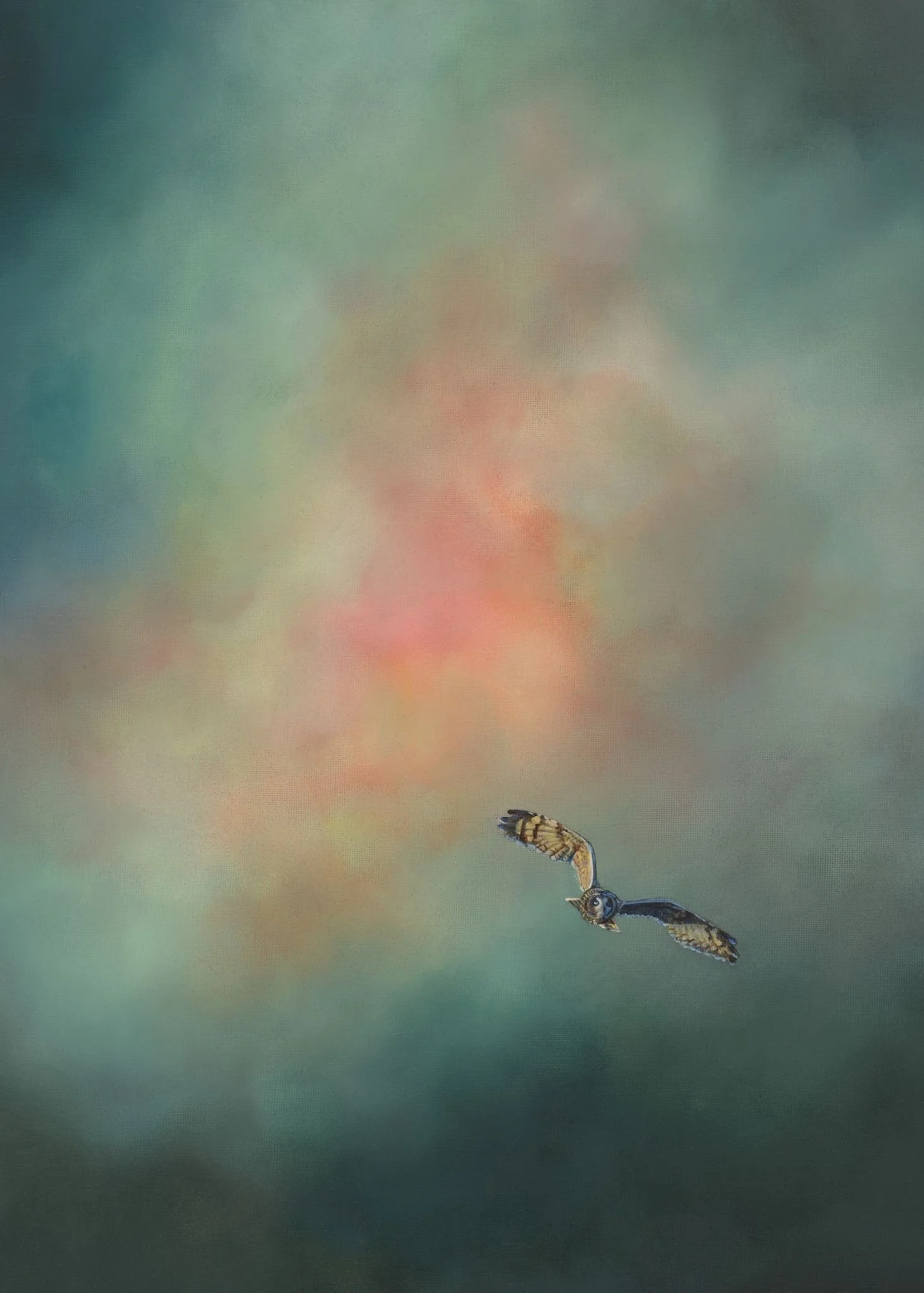 STEPH CORK | Nocturne (Tawny Owl) 