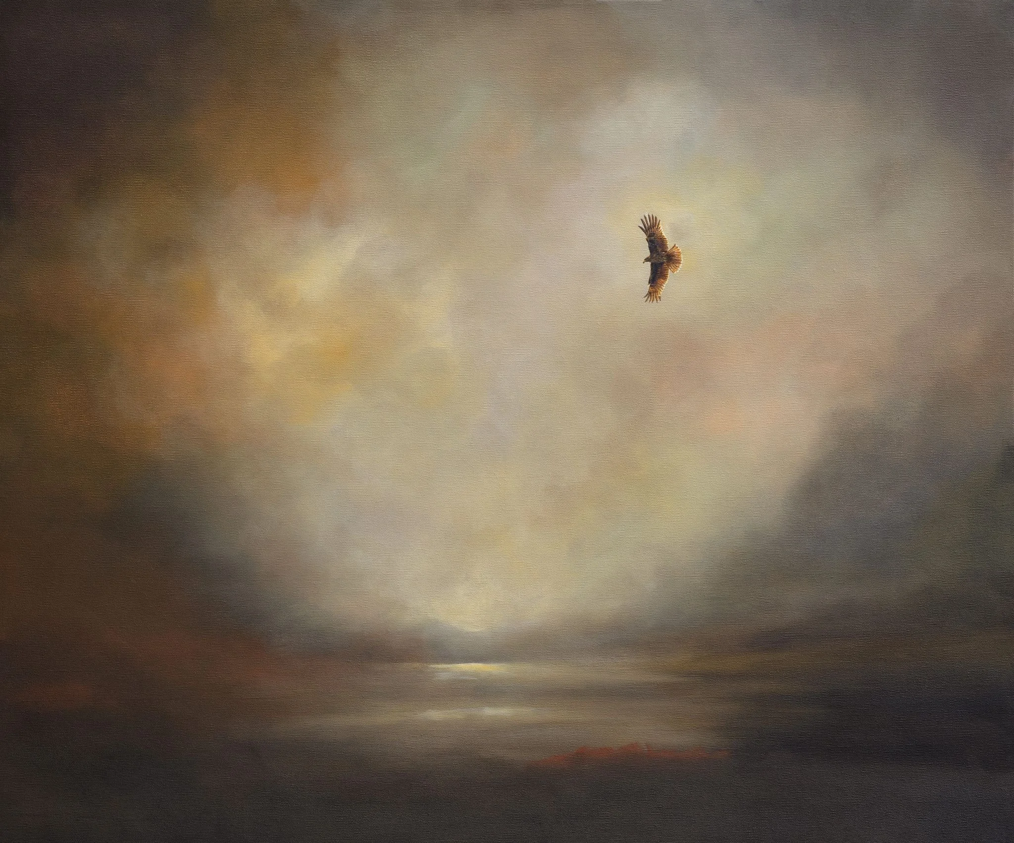 STEPH CORK | Ascension (Golden Eagle) 
