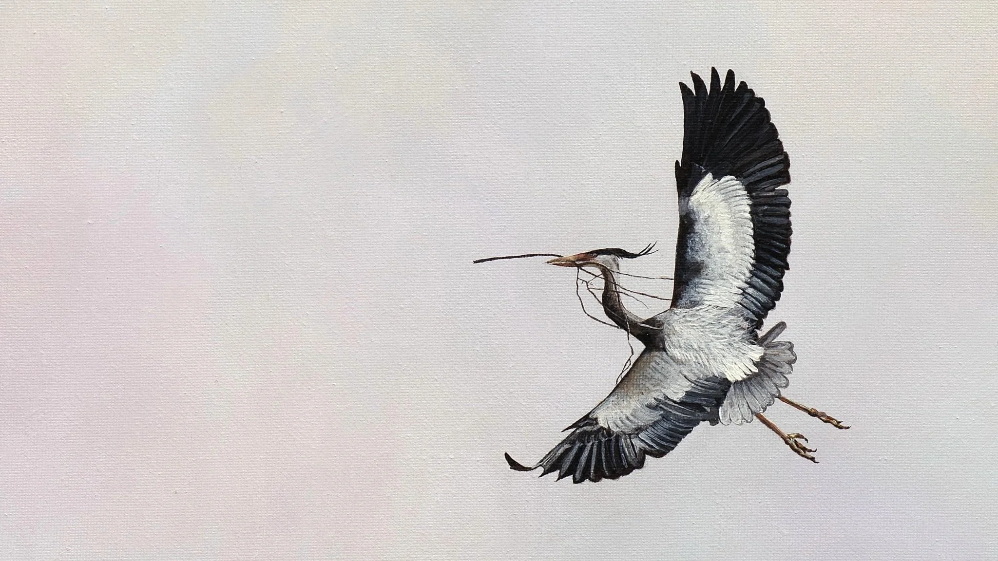 STEPH CORK | New Beginnings (Heron) | 