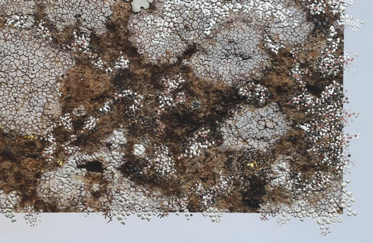 Wild Communion | 69 x 94 cm | Mixed media with hand-applied metal leaf