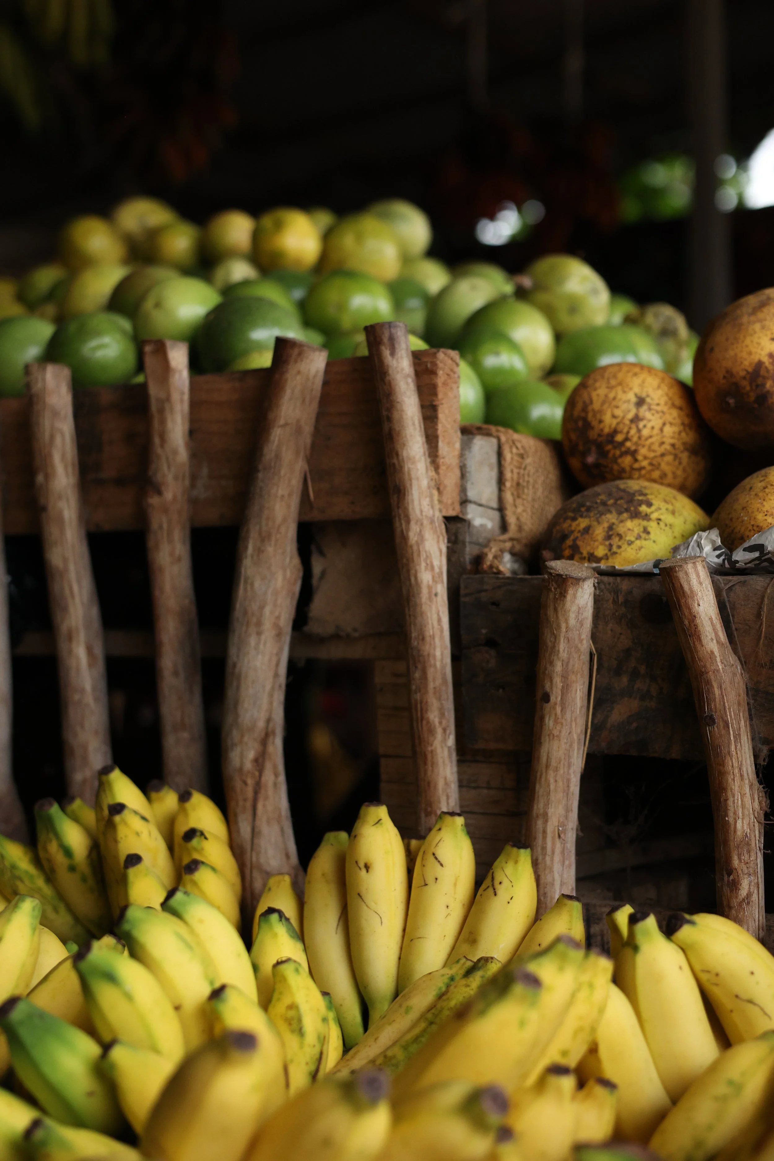 fruits-et-legumes-sri-lanka