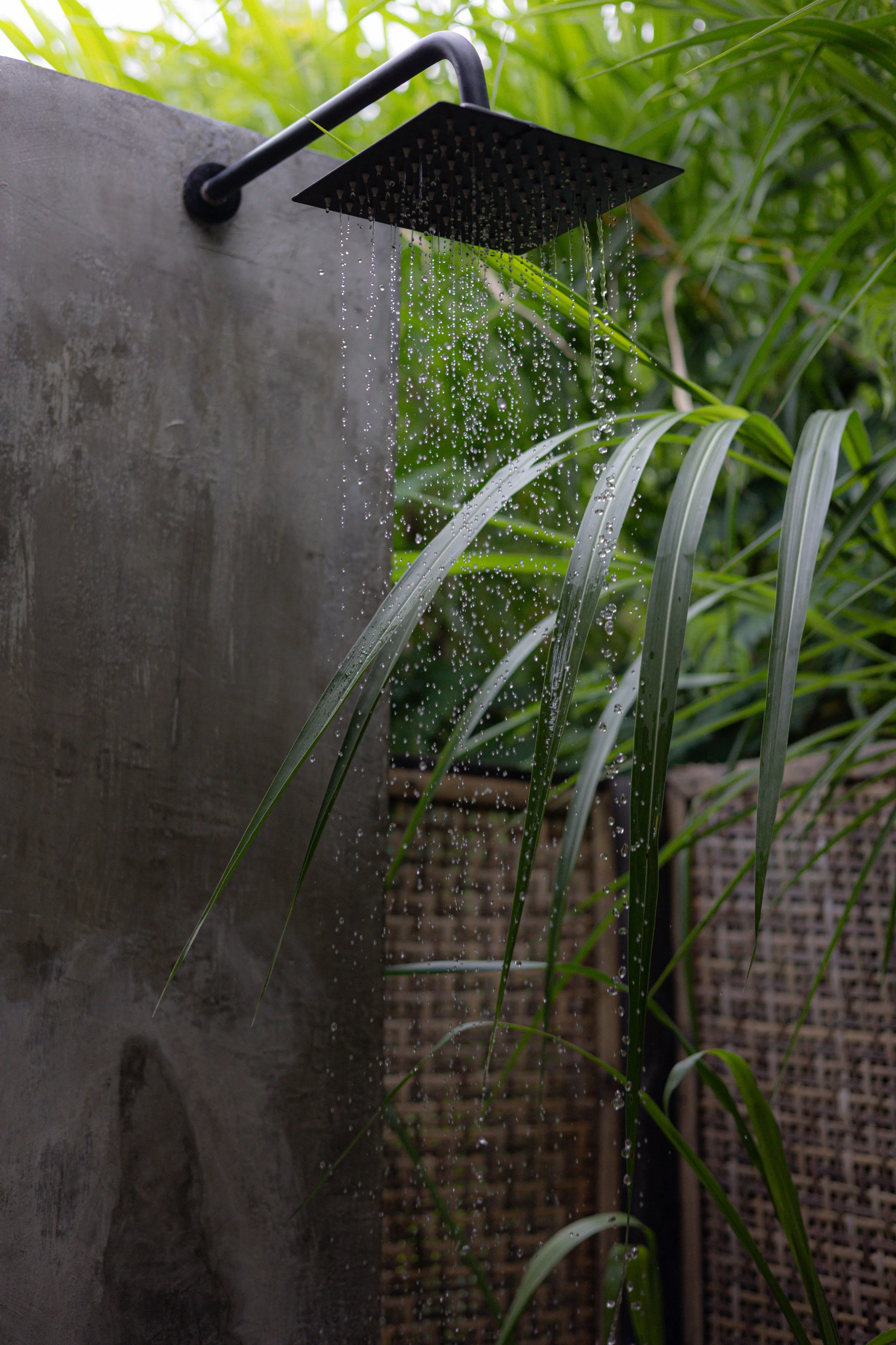 Douche extérieure avec pomme de douche noire, feuille verte et panneau de béton.