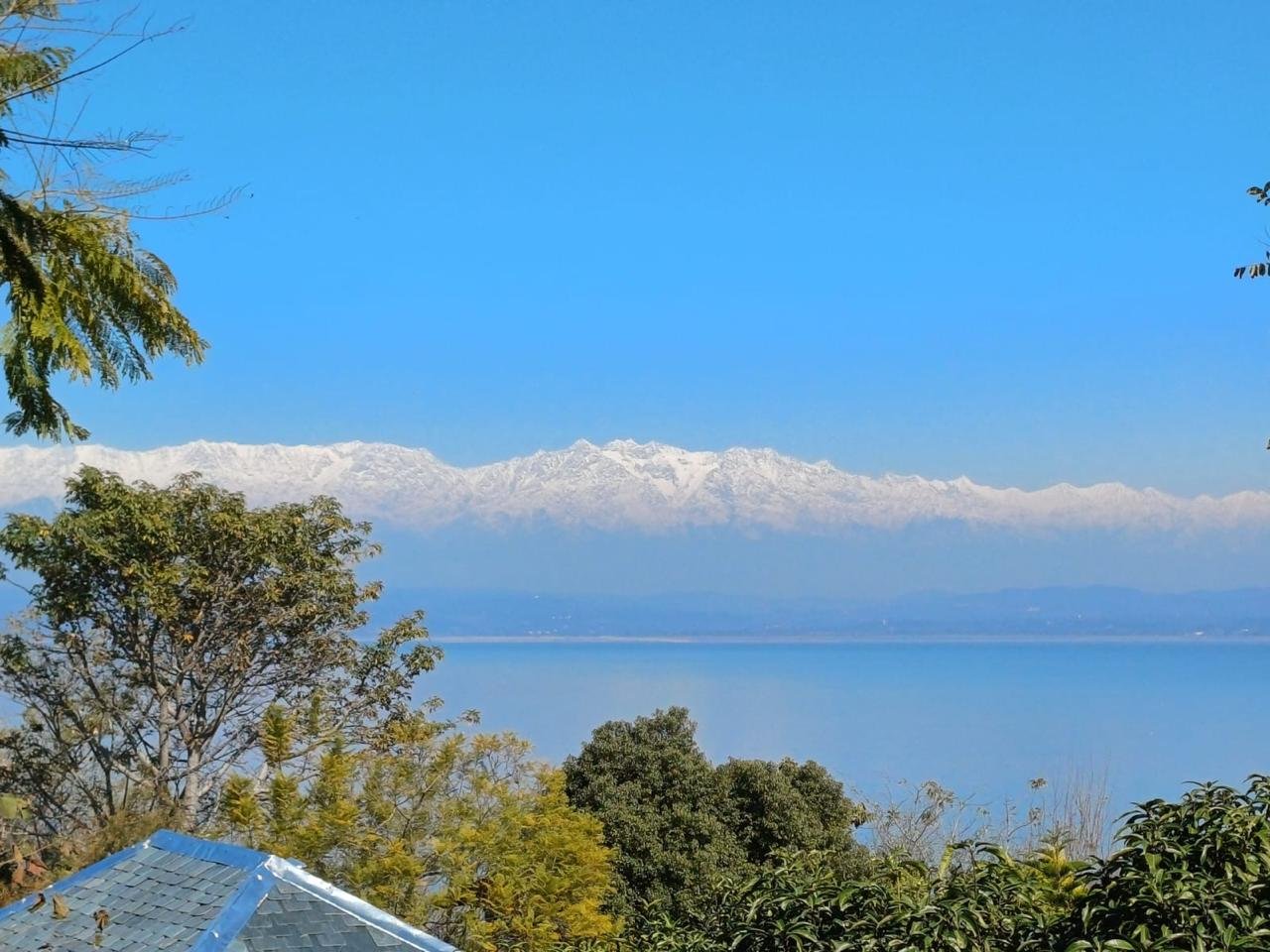 Snow-capped mountain range viewed from a distance, with trees in the foreground and clear blue sky above.