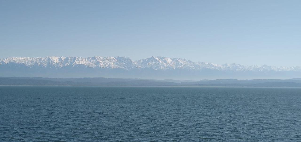 Wide view of a calm sea with snow-capped mountains in the background under a clear blue sky.