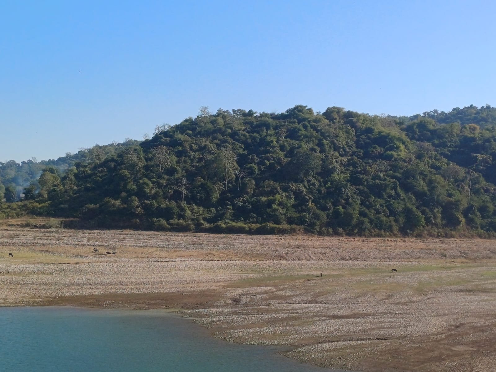 A lush green hill with dense trees next to a dry, rocky landscape and a calm, blue body of water under a clear blue sky.