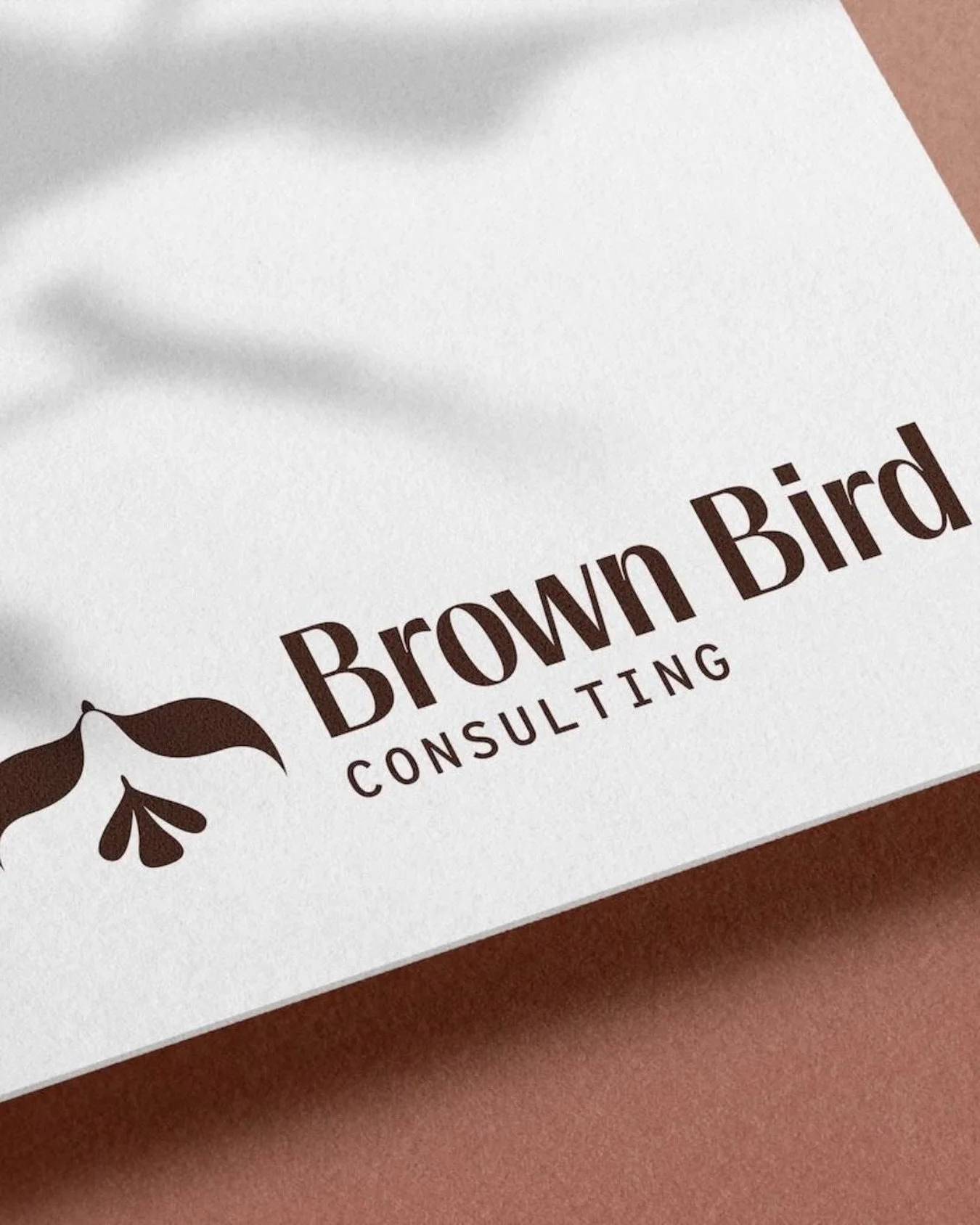 Brown Bird Consulting reimagines your systems and operations so you have more space to connect to the work you love.

After 9 years of helping authors, indie presses, and literary organizations get their work out into the world through Mind the Bird 