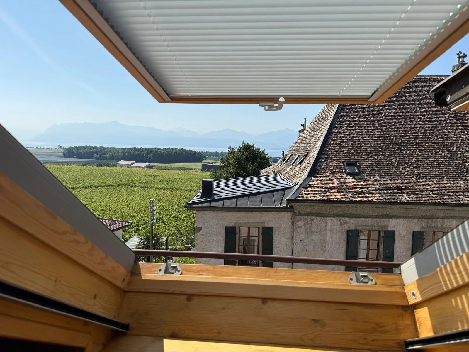 WhatsApp Image 2025-11-14 at 16.04.41.jpeg