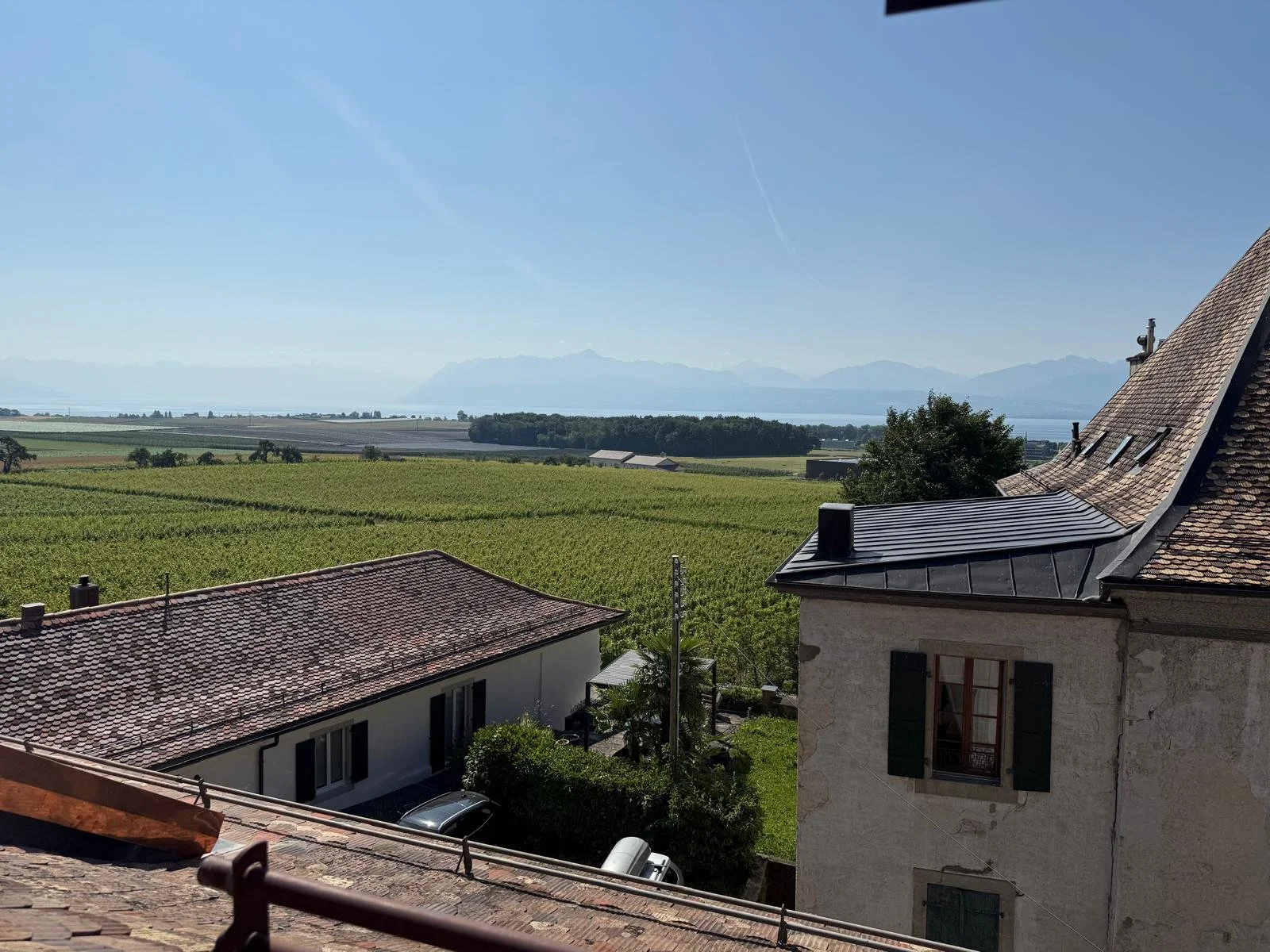 WhatsApp Image 2025-11-14 at 16.04.57.jpeg