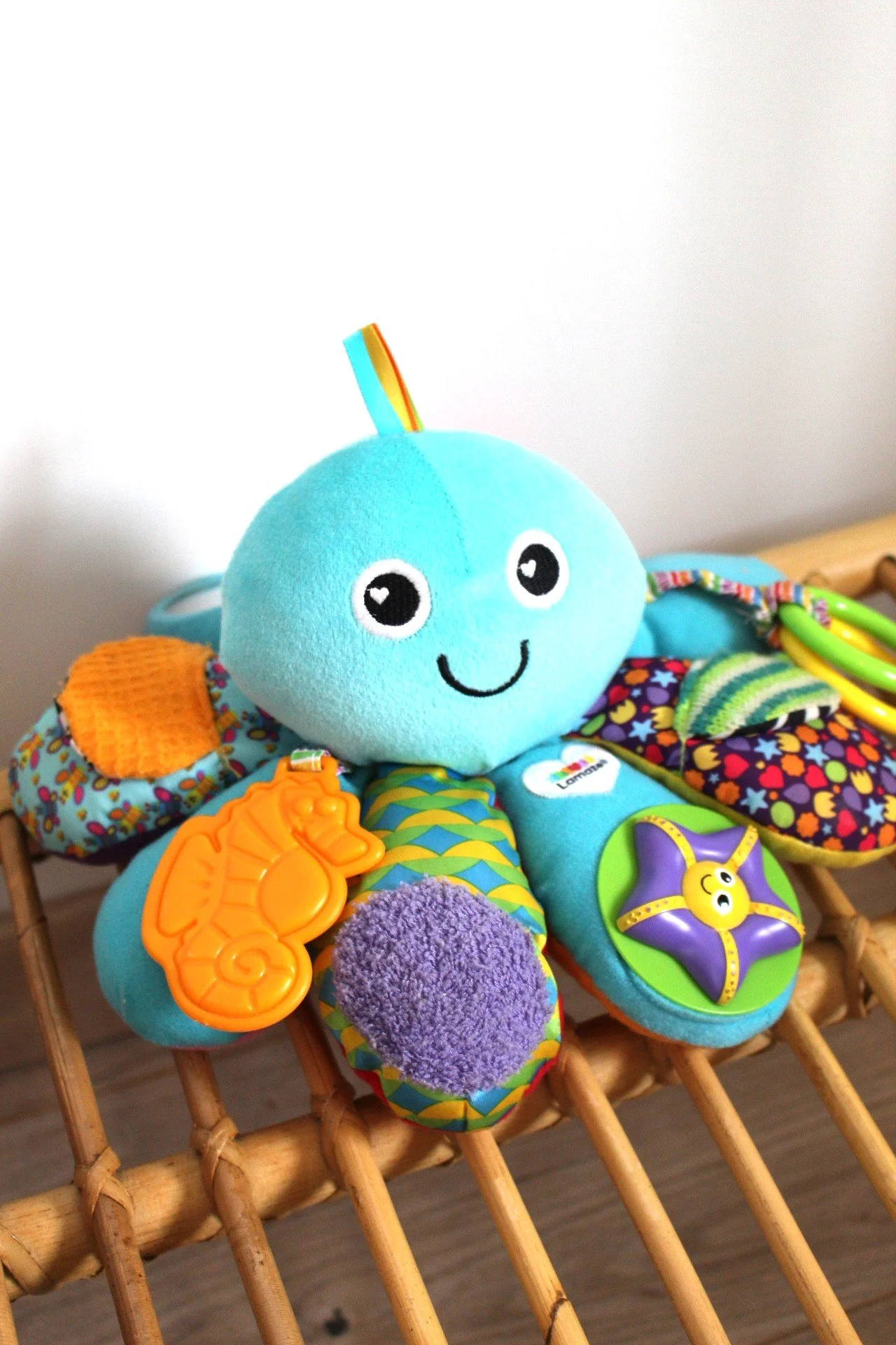 Pieuvre d'activités - Lamaze