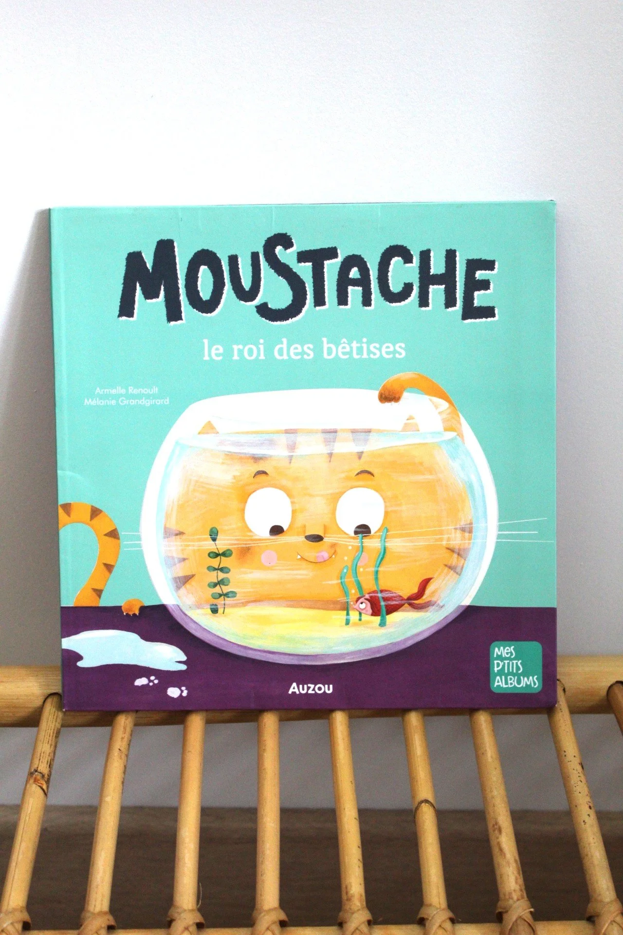 Livre "Moustache le roi des bêtises" - Auzou