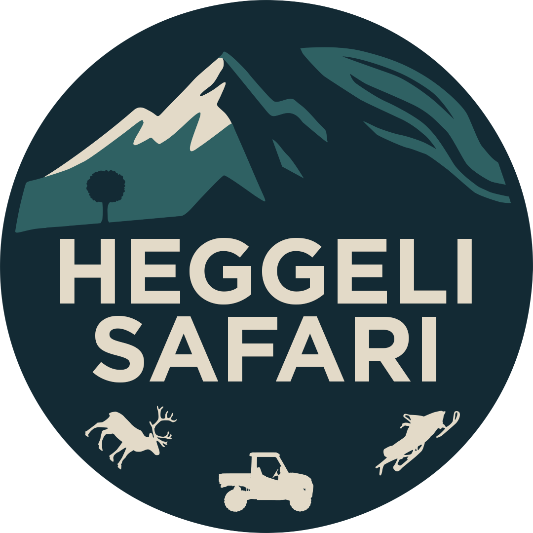 Heggeli Adventures