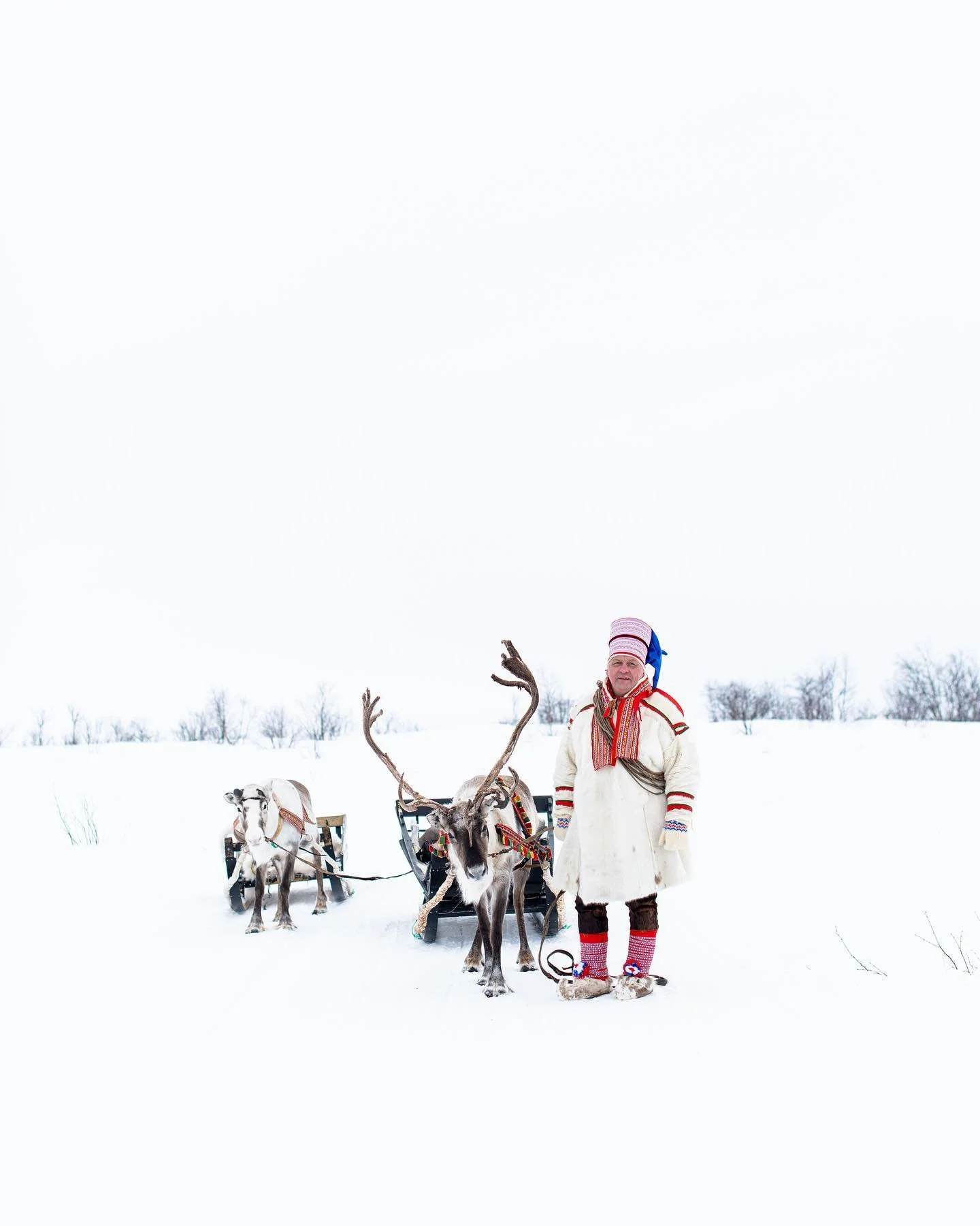 A person dressed in traditional winter clothing standing next to reindeer and a sled in a snowy landscape with a tree line in the distance.