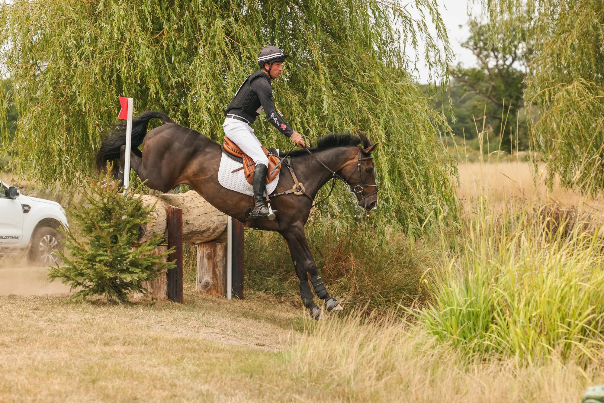 Wolfie_and_Lil_Equine_Freelance_Photography-3.jpg