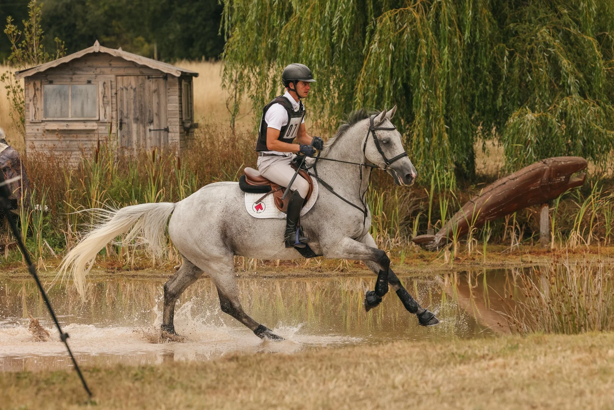 Wolfie_and_Lil_Equine_Freelance_Photography-11.jpg