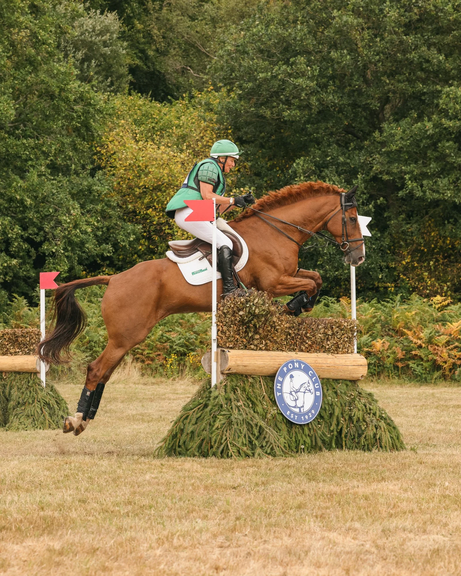 Wolfie_and_Lil_Equine_Freelance_Photography-15.jpg