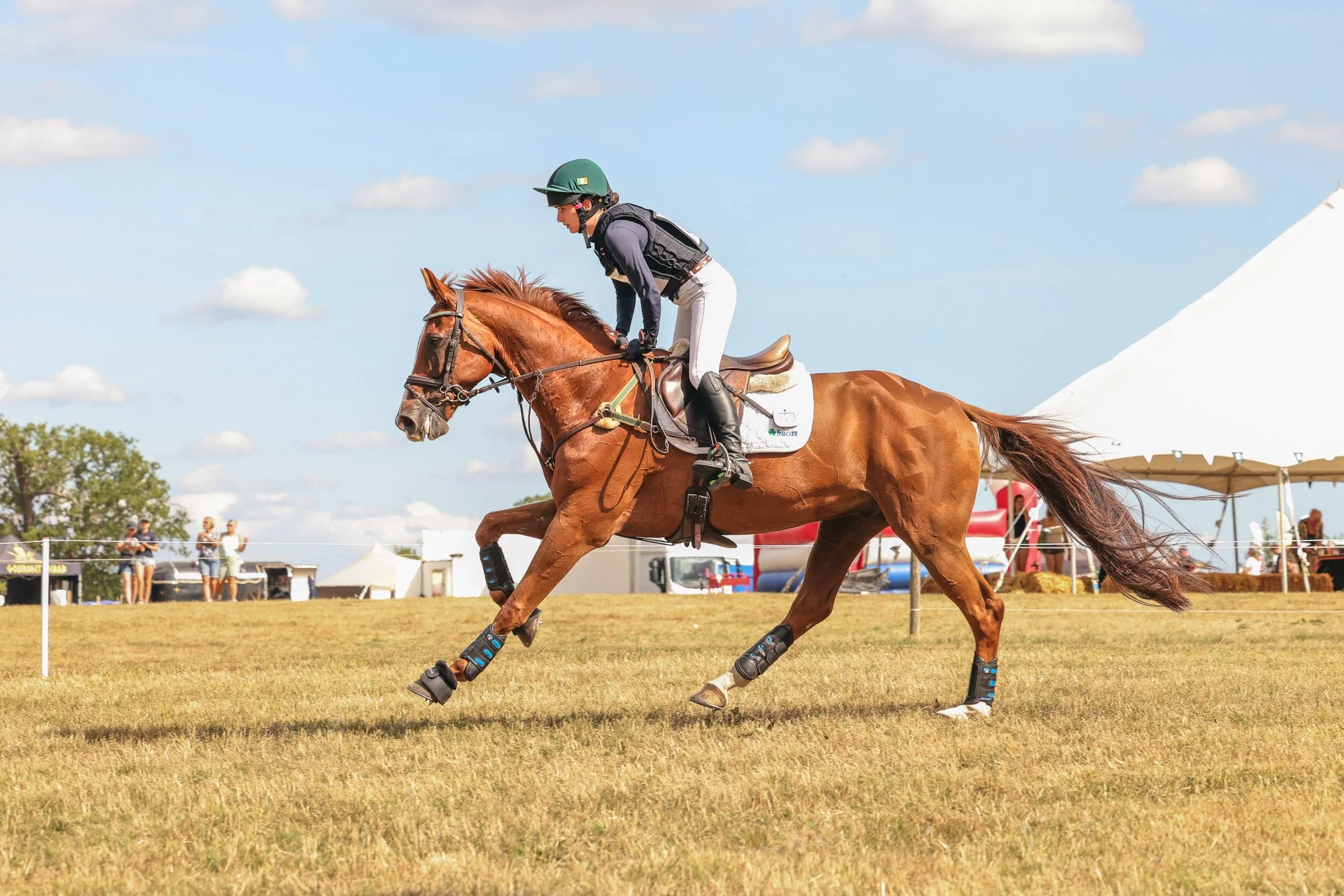 Wolfie_and_Lil_Equine_Freelance_Photography-25.jpg
