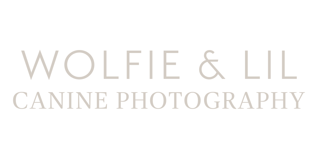Wolfie &amp; Lil Photography