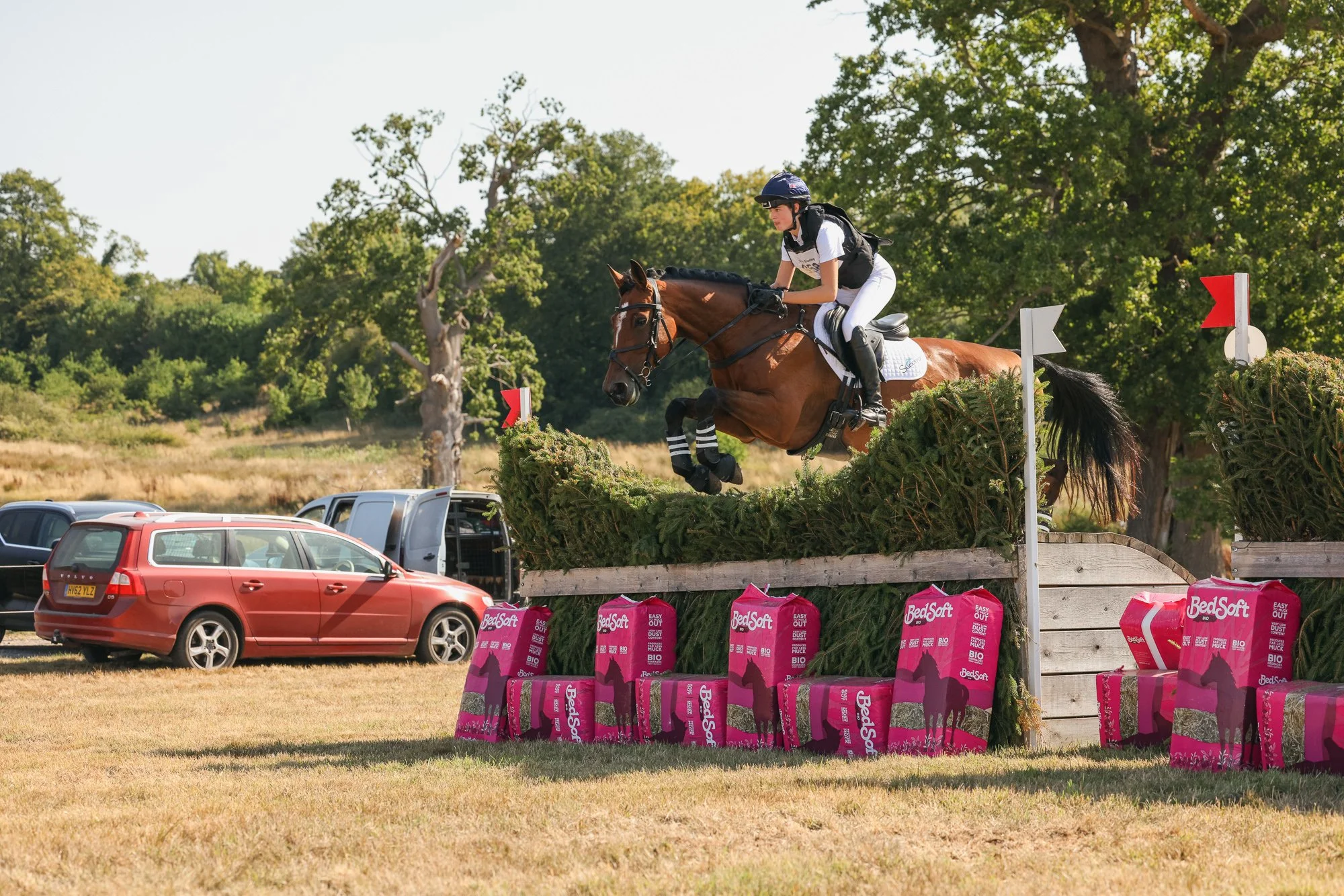 Wolfie_and_Lil_Equine_Freelance_Photography-28.jpg