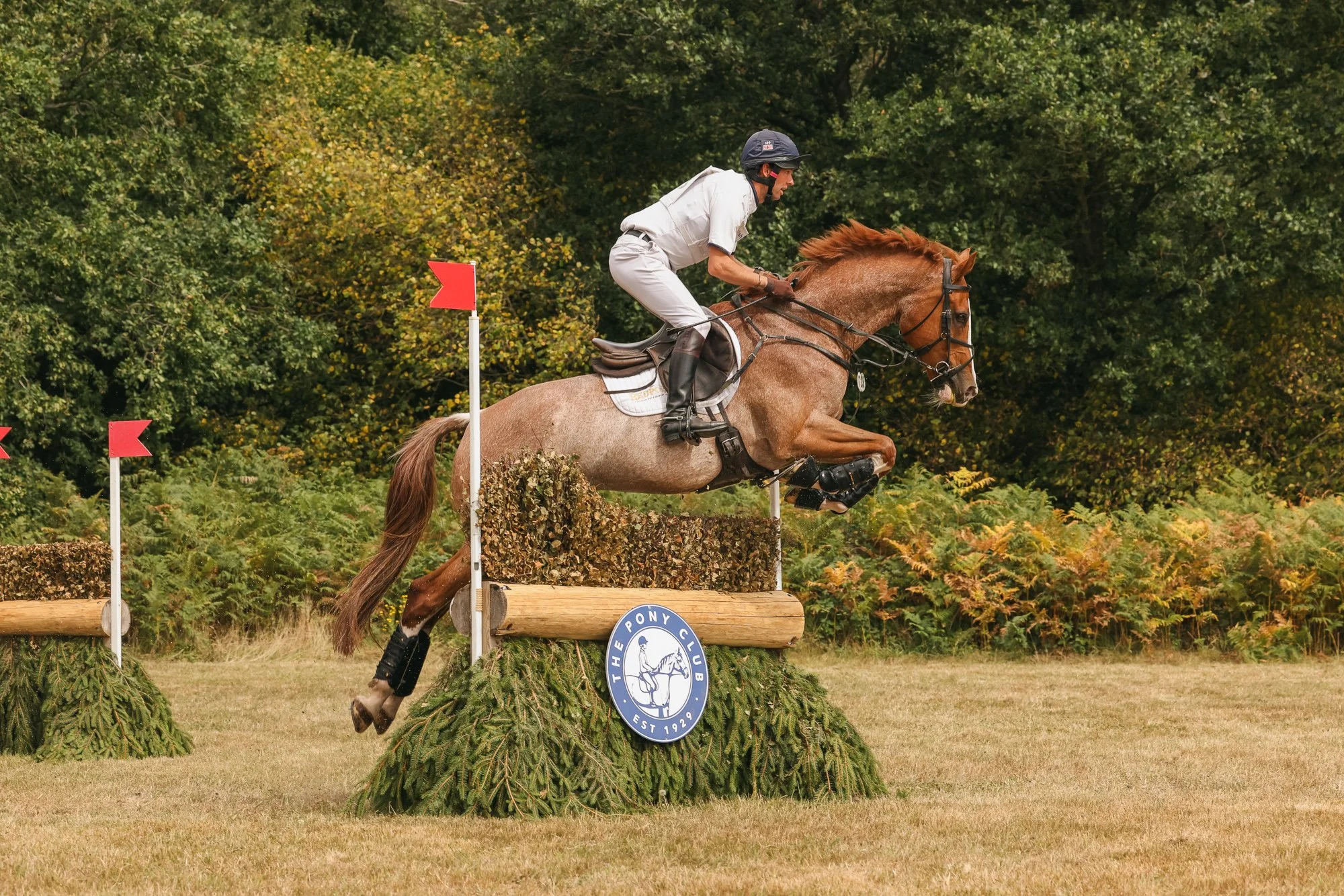 Wolfie_and_Lil_Equine_Freelance_Photography-2.jpg