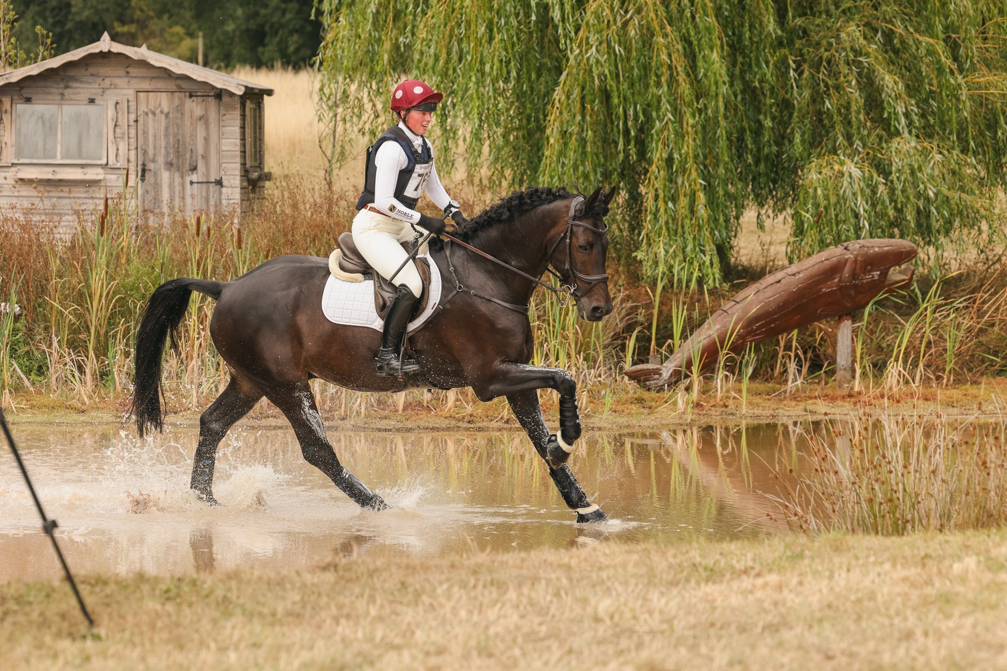 Wolfie_and_Lil_Equine_Freelance_Photography-9.jpg