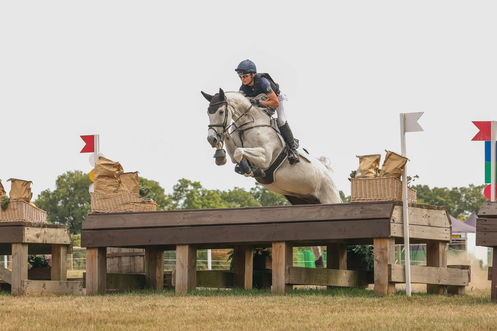 Wolfie_and_Lil_Equine_Freelance_Photography-20.jpg