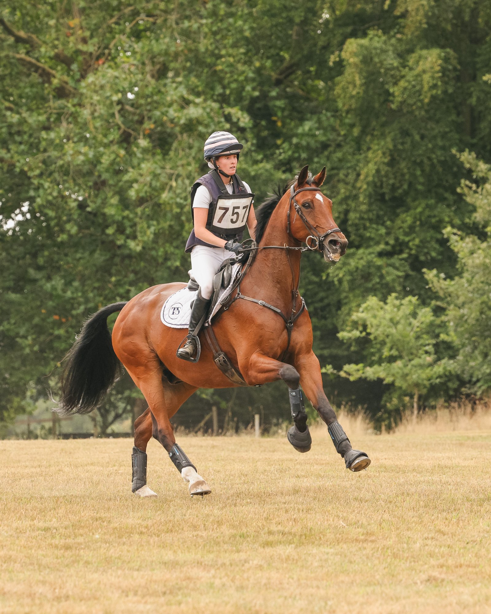 Wolfie_and_Lil_Equine_Freelance_Photography-7.jpg