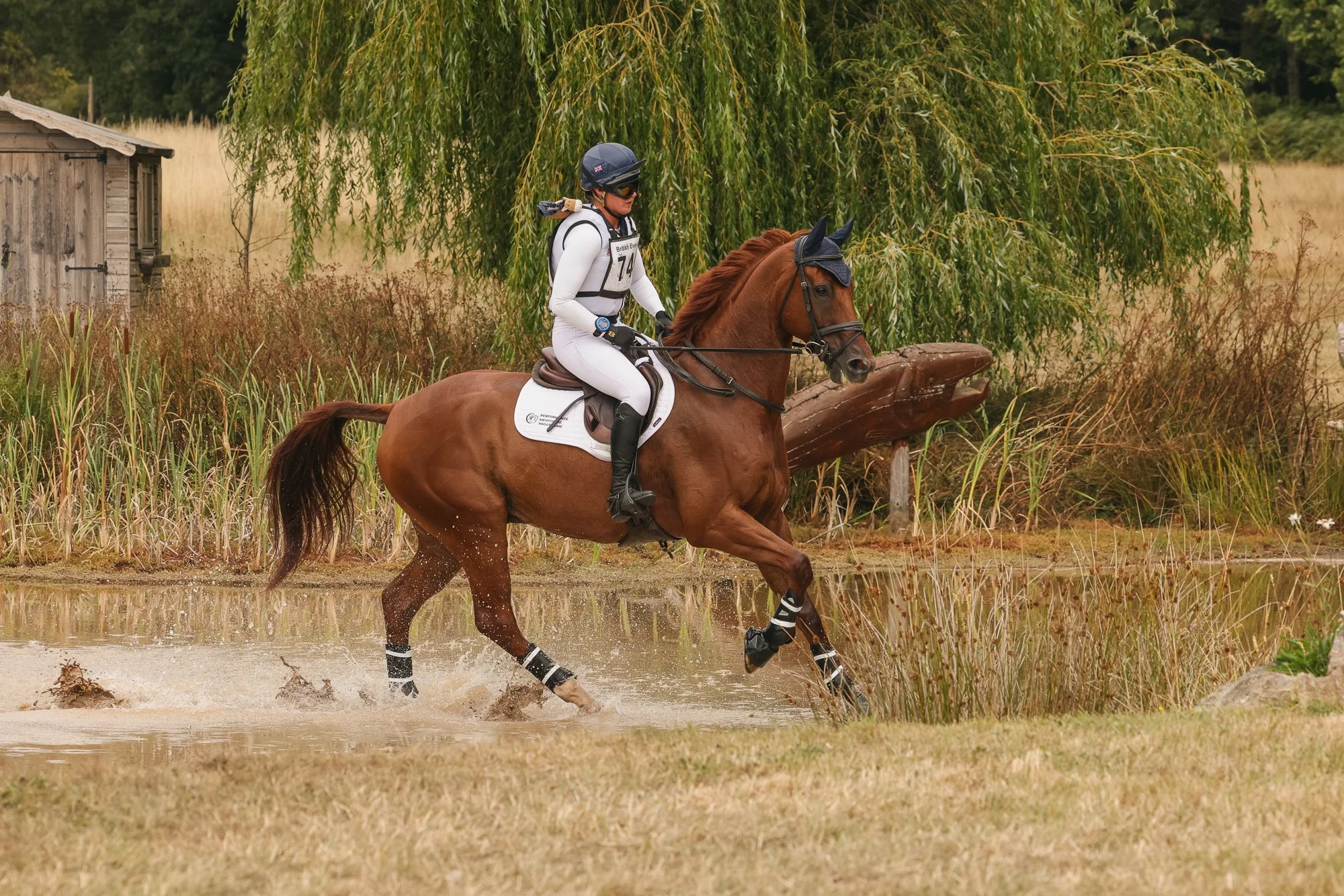Wolfie_and_Lil_Equine_Freelance_Photography-4.jpg