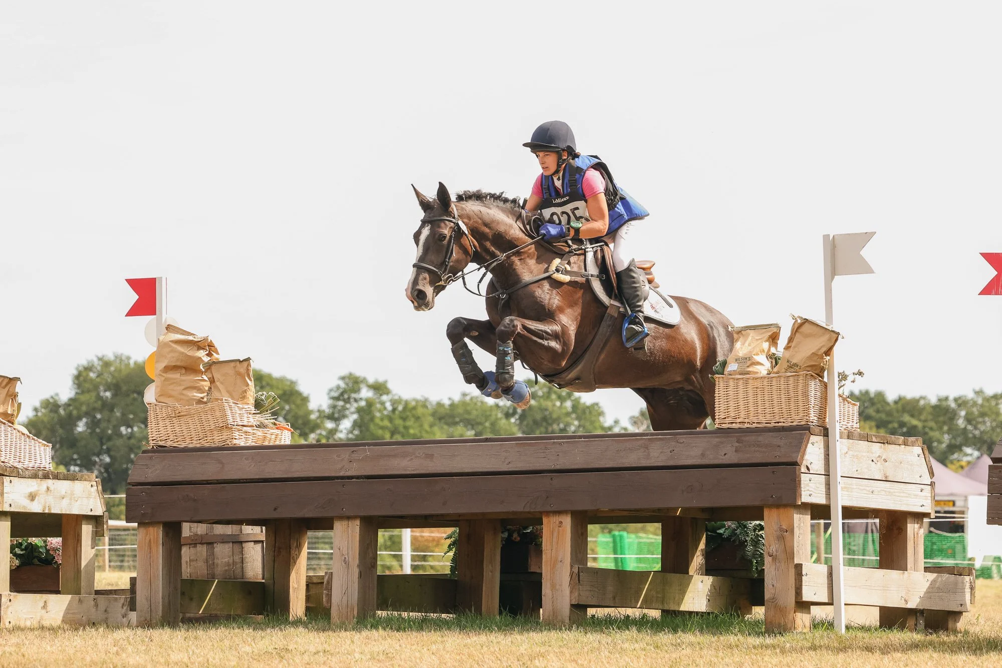 Wolfie_and_Lil_Equine_Freelance_Photography-22.jpg