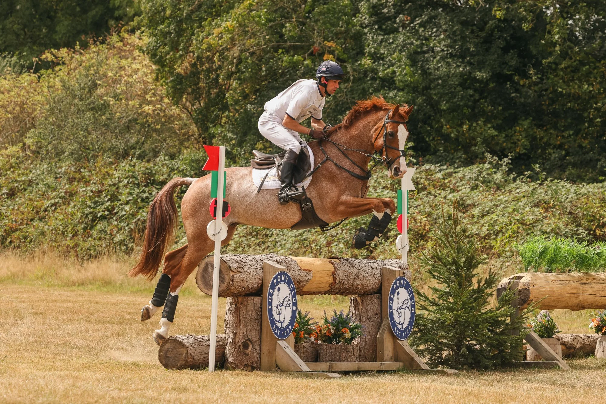 Wolfie_and_Lil_Equine_Freelance_Photography.jpg