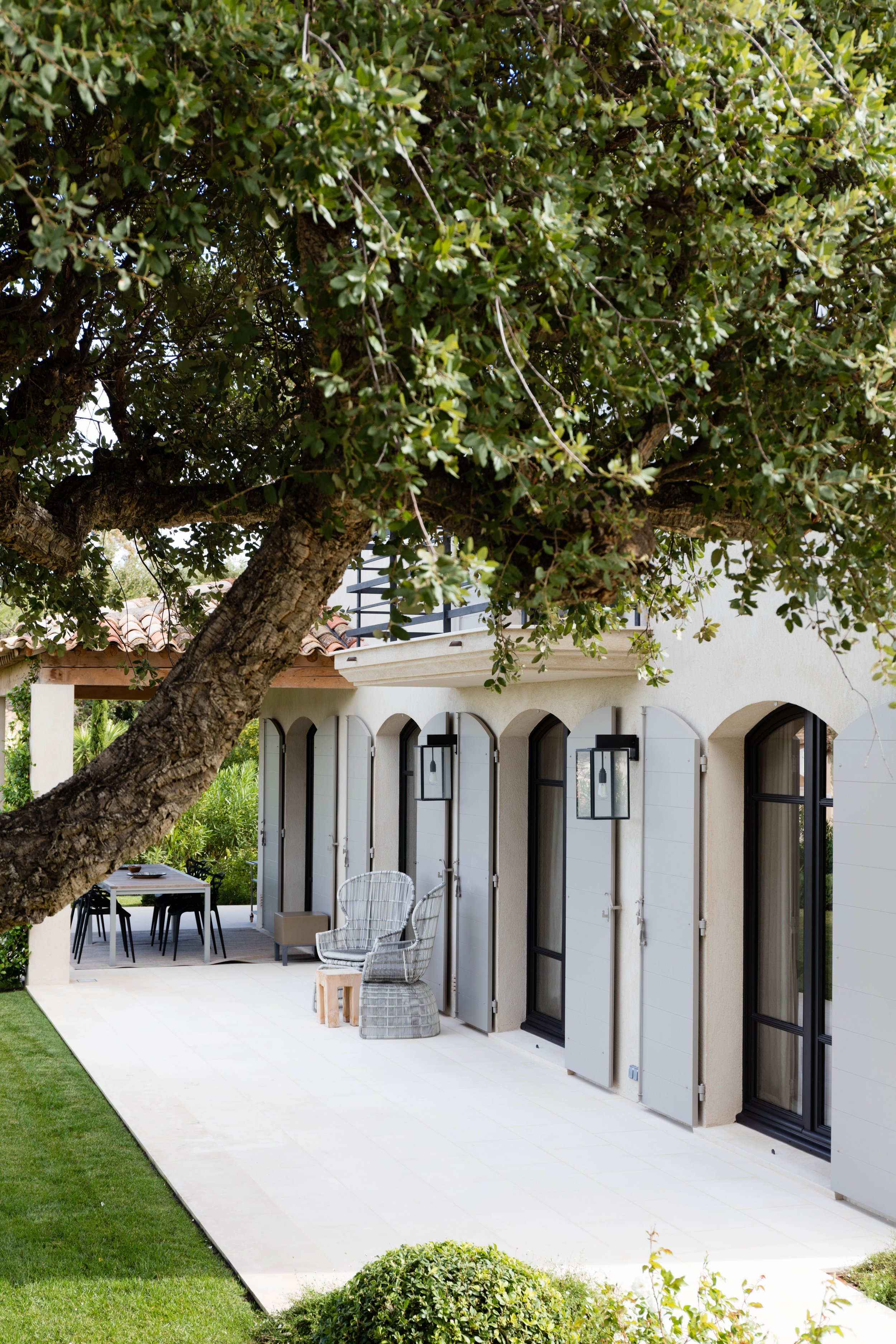 Ilford Wall AGAPANTHES 097.jpg