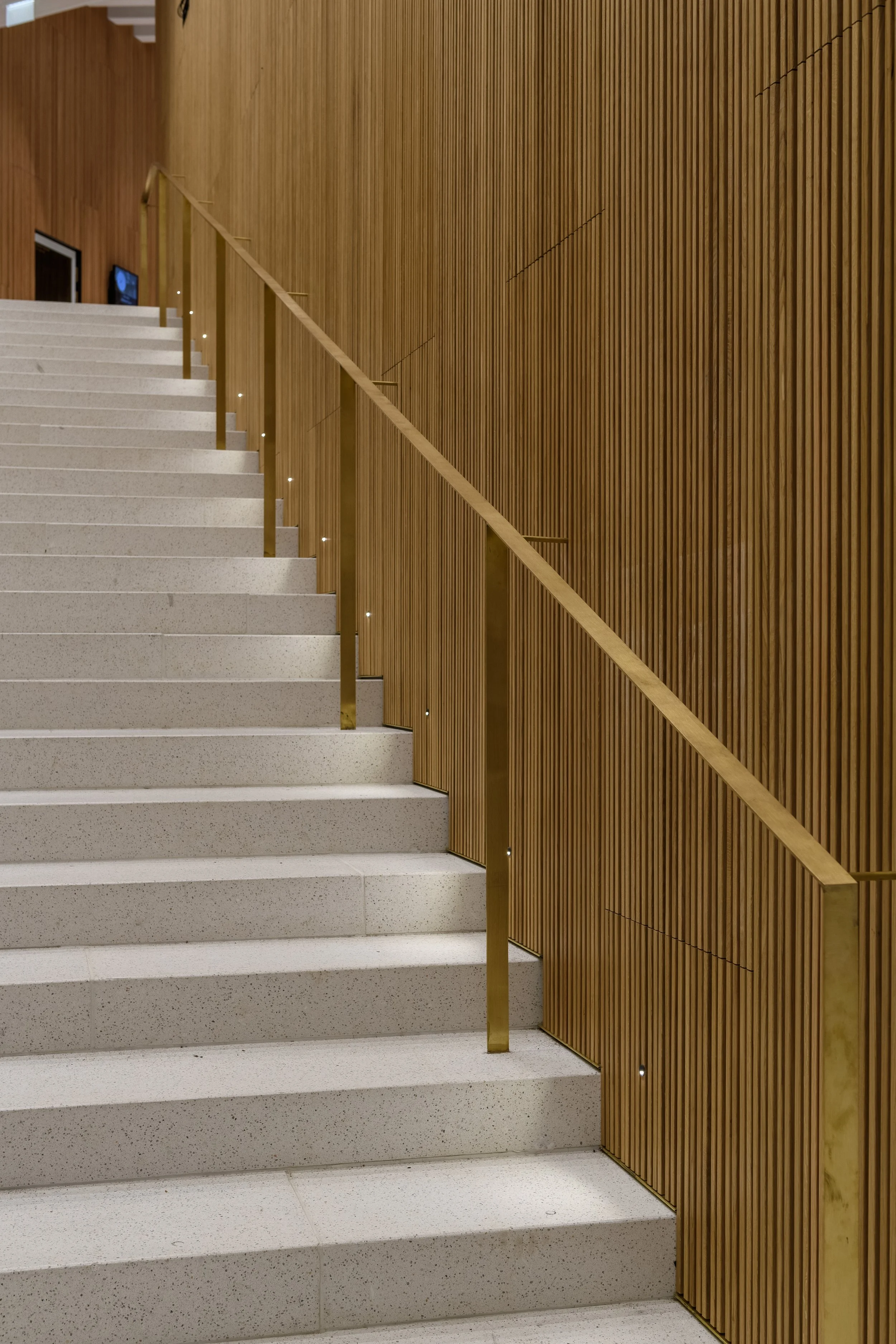 Saas_Instruments_Fyyri_Library (7).jpg