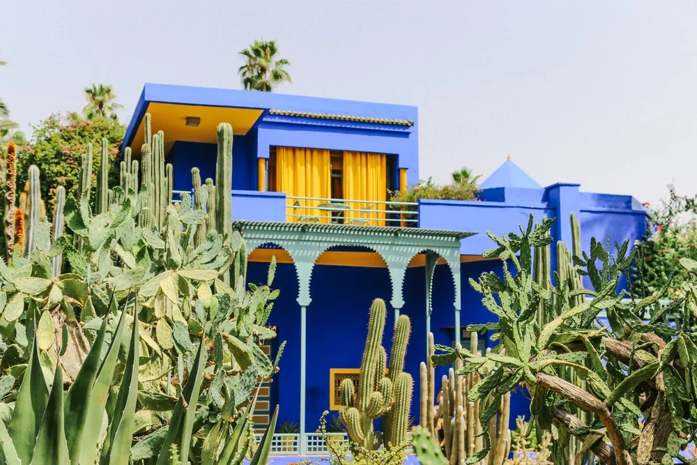 Jardin Majorelle Marrakesh Chelsea 2.jpeg
