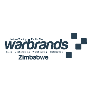 Logo of Wands Zimbabwe featuring blue text and squares.