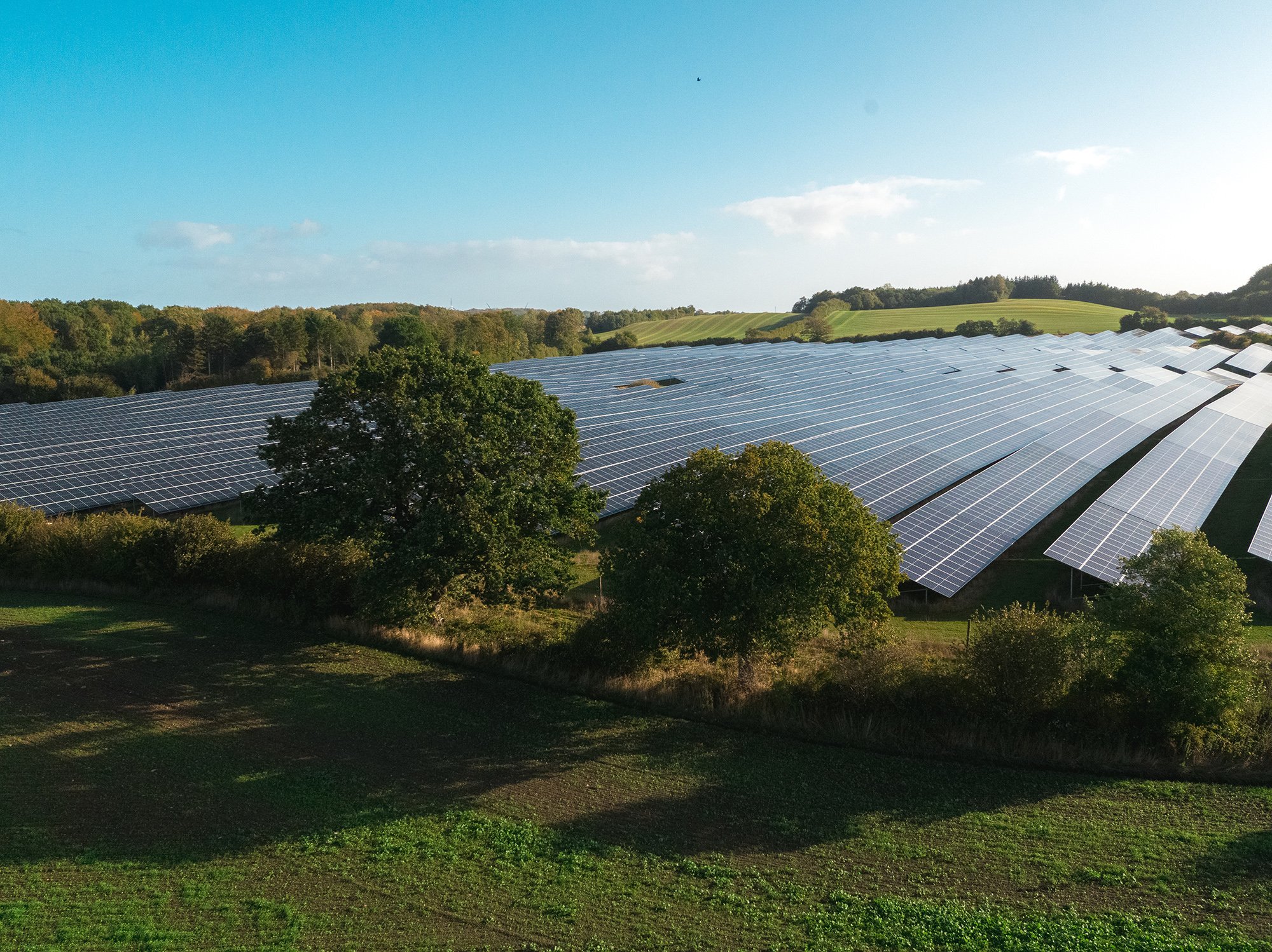 Statkraft signs two long-term PPAs with Better Energy in Poland