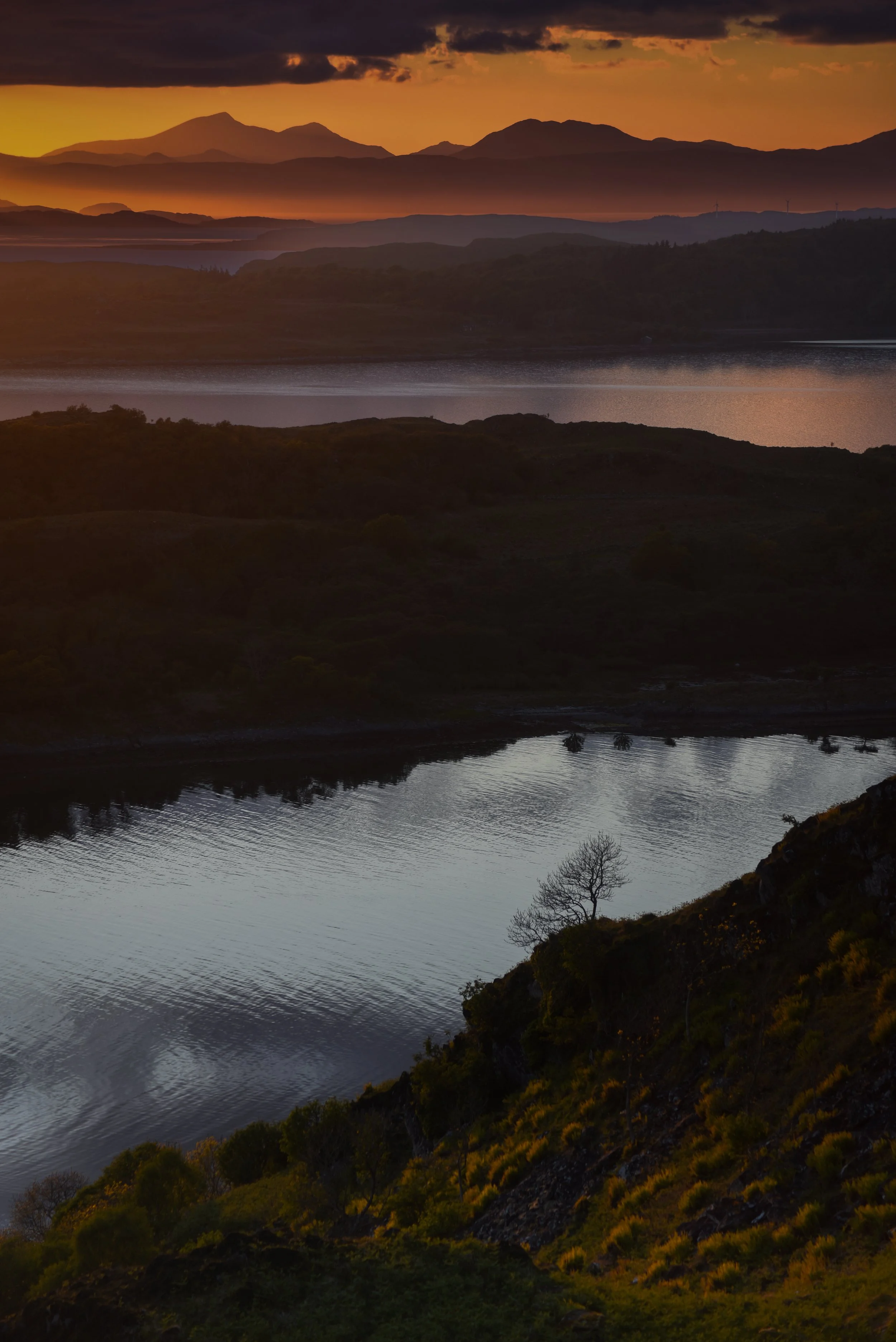DSC_9359-2.jpg