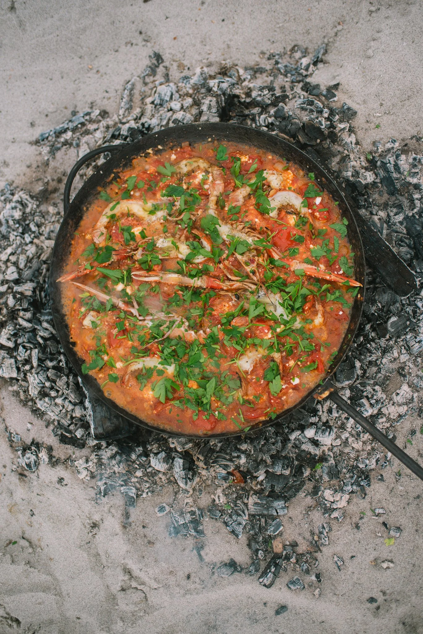 PROJECTS   |   COLLABORATIONS