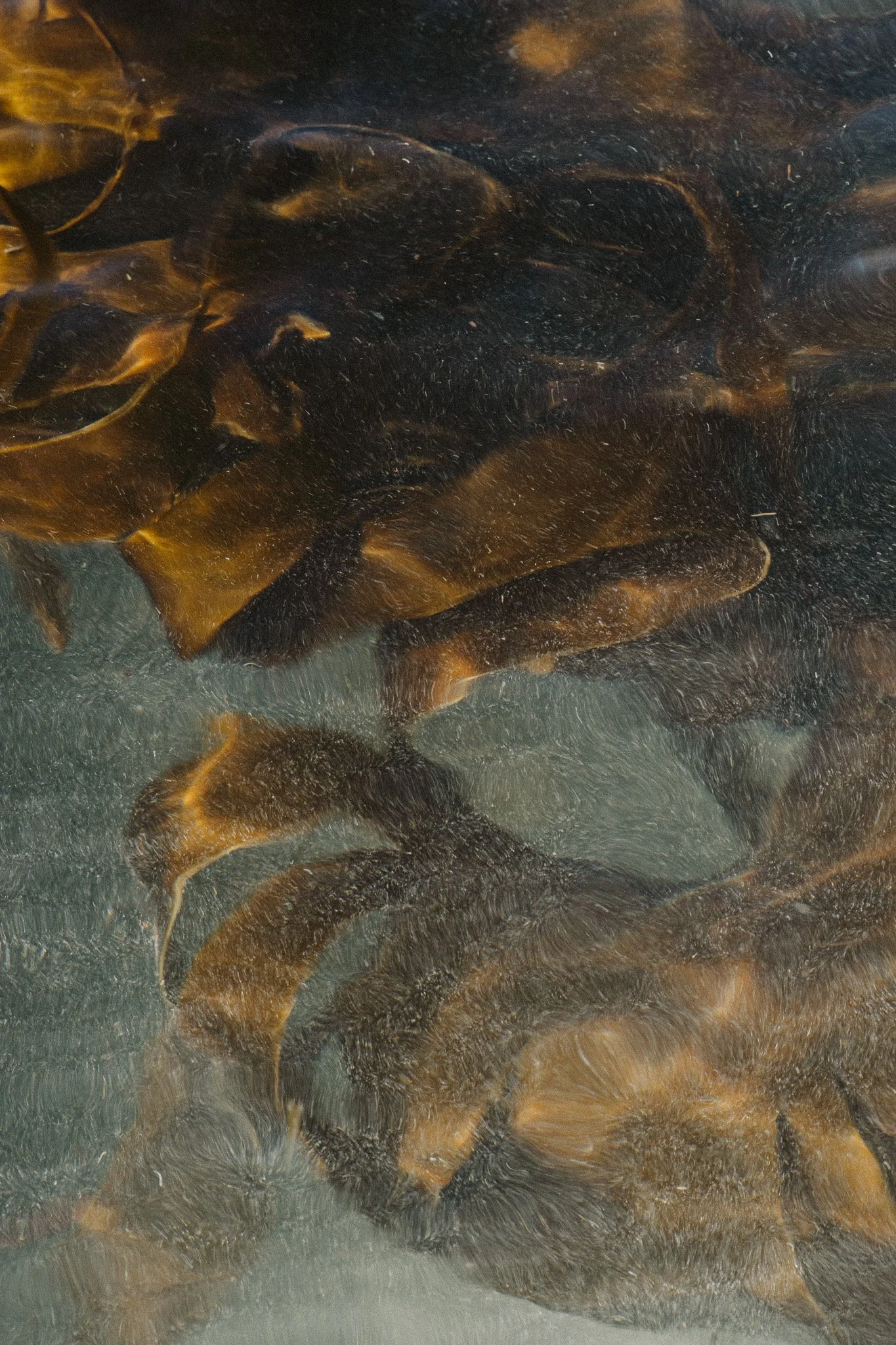 GalleryNo1-March26 (168).jpg