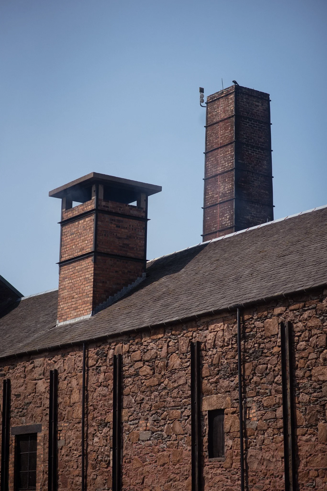 Bonhams-Springbank-Aug25 (38).jpg