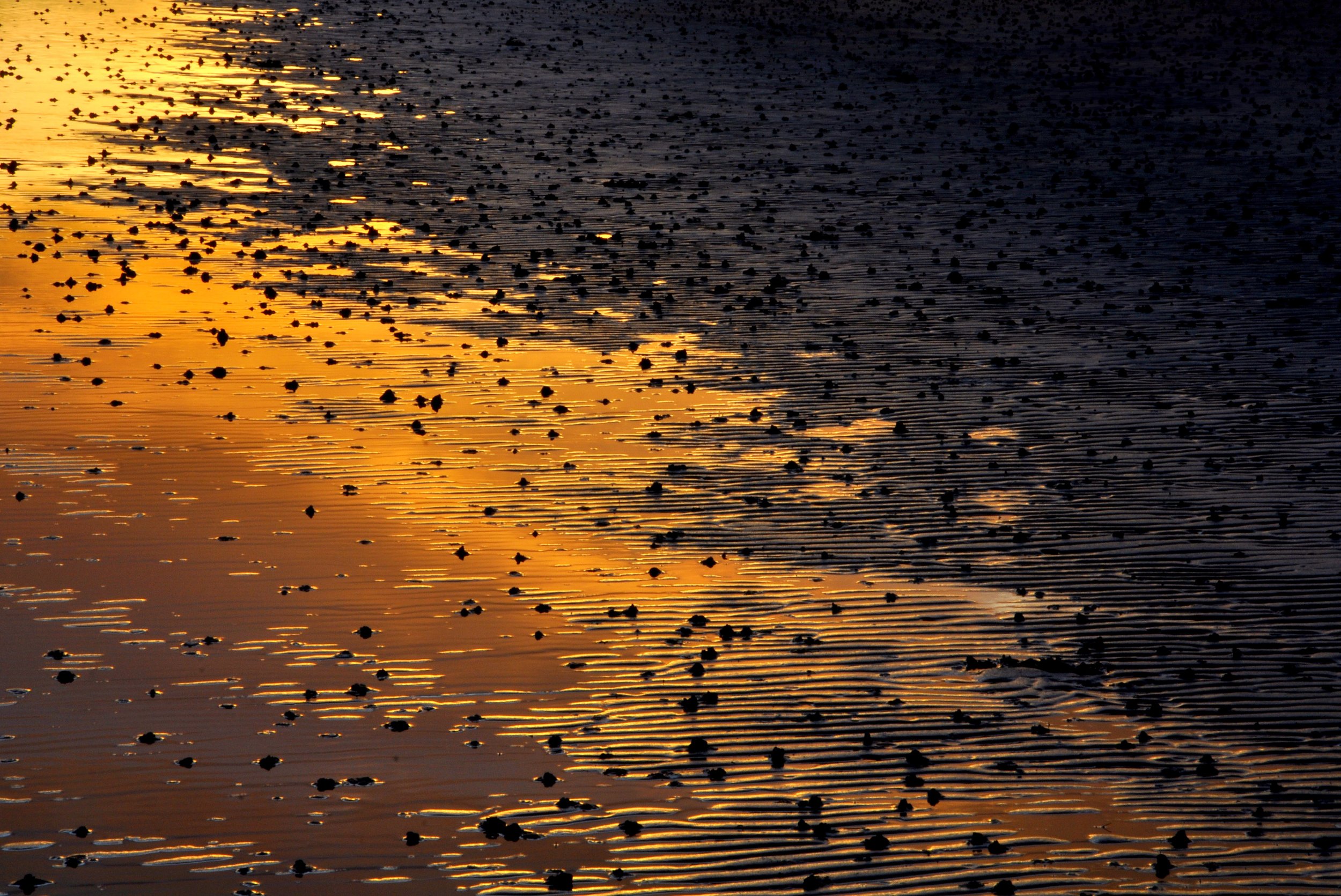 GoldenBeach.jpg