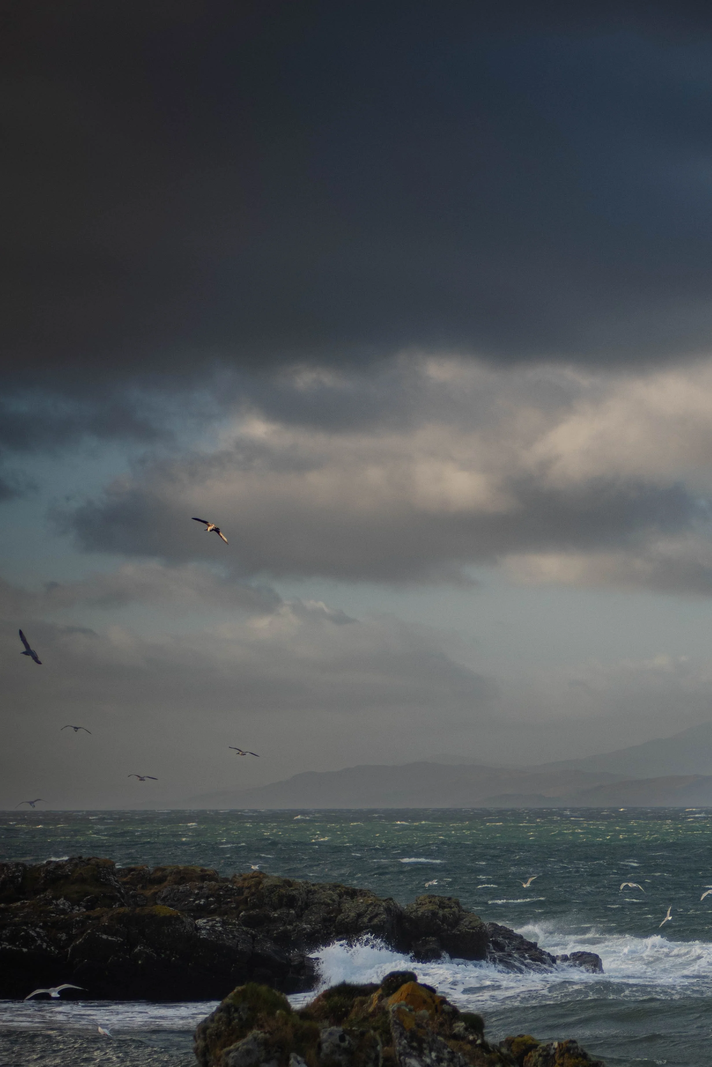 DSC_1743.jpg