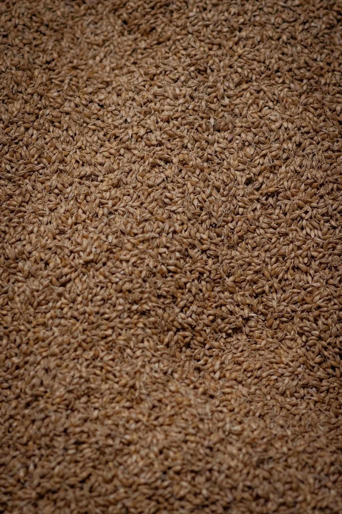 Bonhams-Springbank-Aug25 (47).jpg