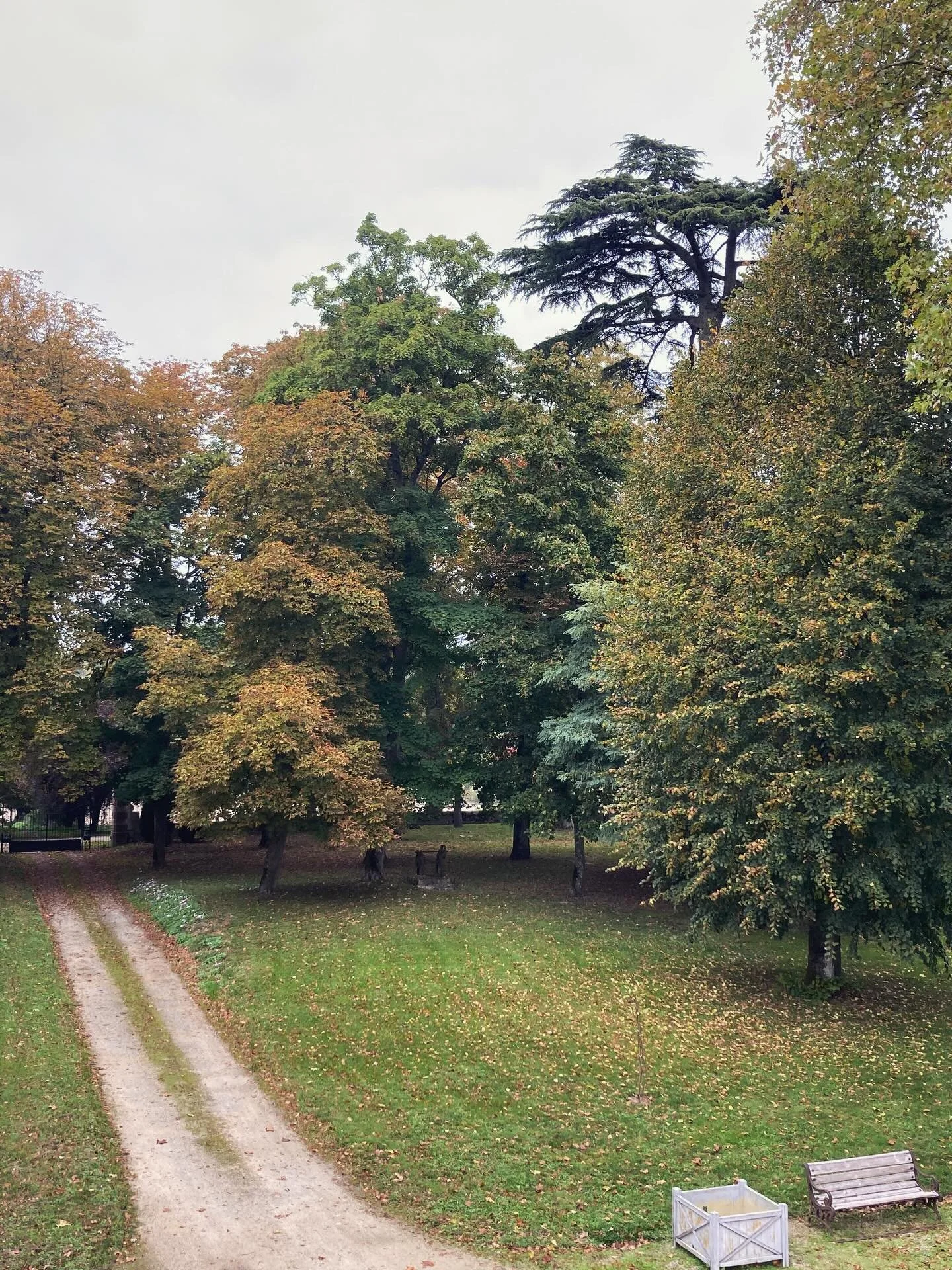 The park in its autumnal glory #chateaudechavigny