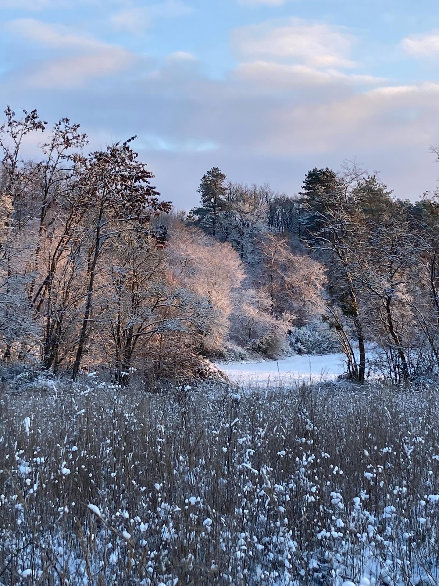 Joyeux No&euml;l &agrave; tous et &agrave; toutes !