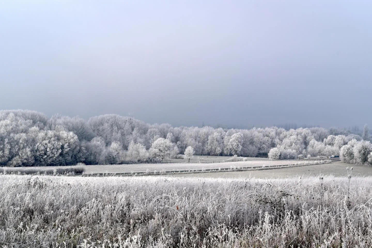 Very cold but beautiful landscape today #chateaudechavigny