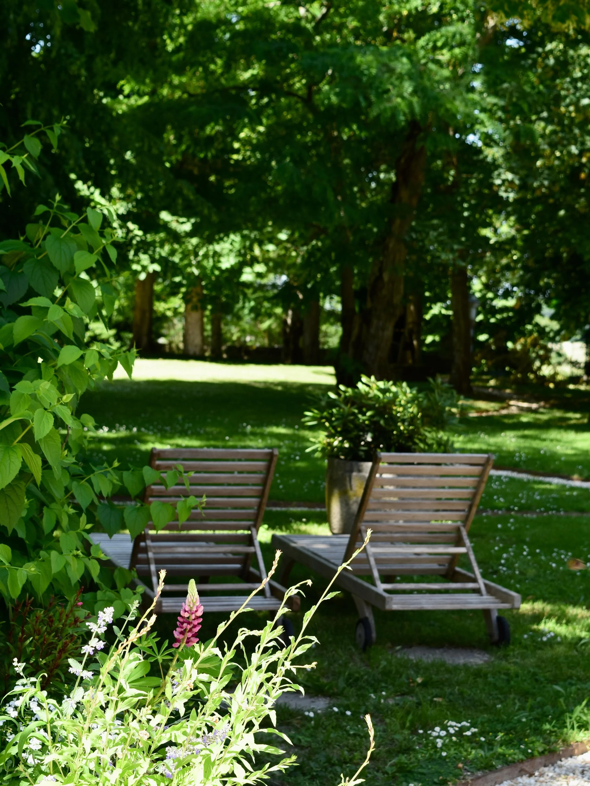 From Chambre du Parc you step straight out onto your own corner the park with seating and sunloungers under the shade of the Tilleul trees&hellip; you&rsquo;re also only a short stroll from the pressoir and our well stocked honesty bar ! #chateaudech