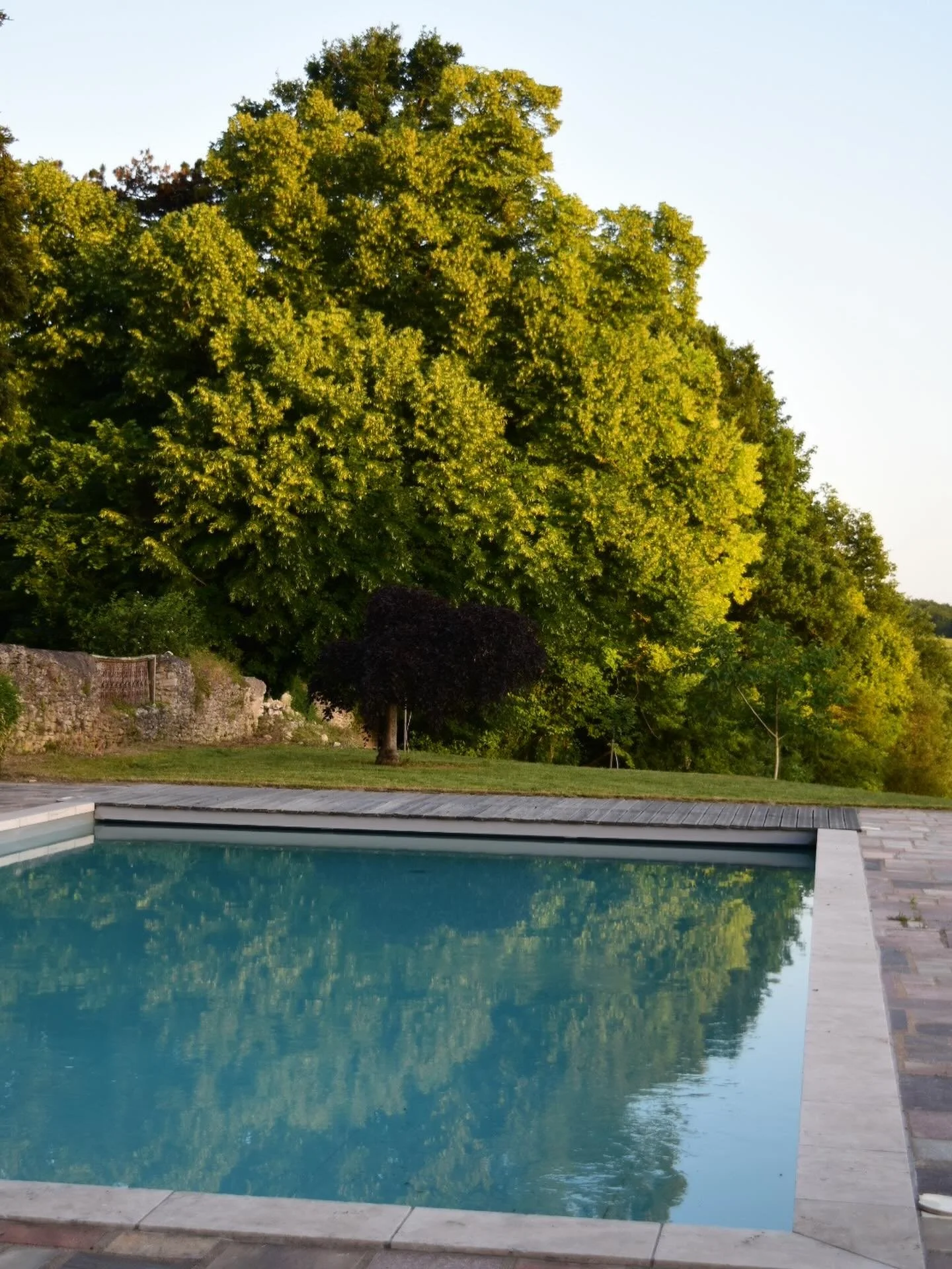 Leafy views and evening light at Chavigny&rsquo;s swimming pool #chateaudechavigny