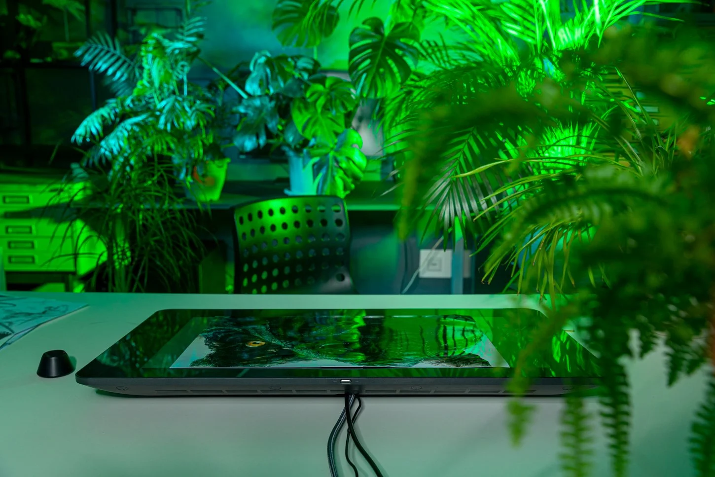 LisaKriegFotografie_Raimund_Frey_Illustrator_Setdesign_Dinos_Mainz2.jpg