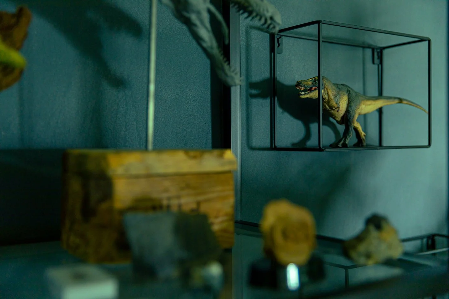 LisaKriegFotografie_Raimund_Frey_Illustrator_Setdesign_Dinos_Mainz5.jpg