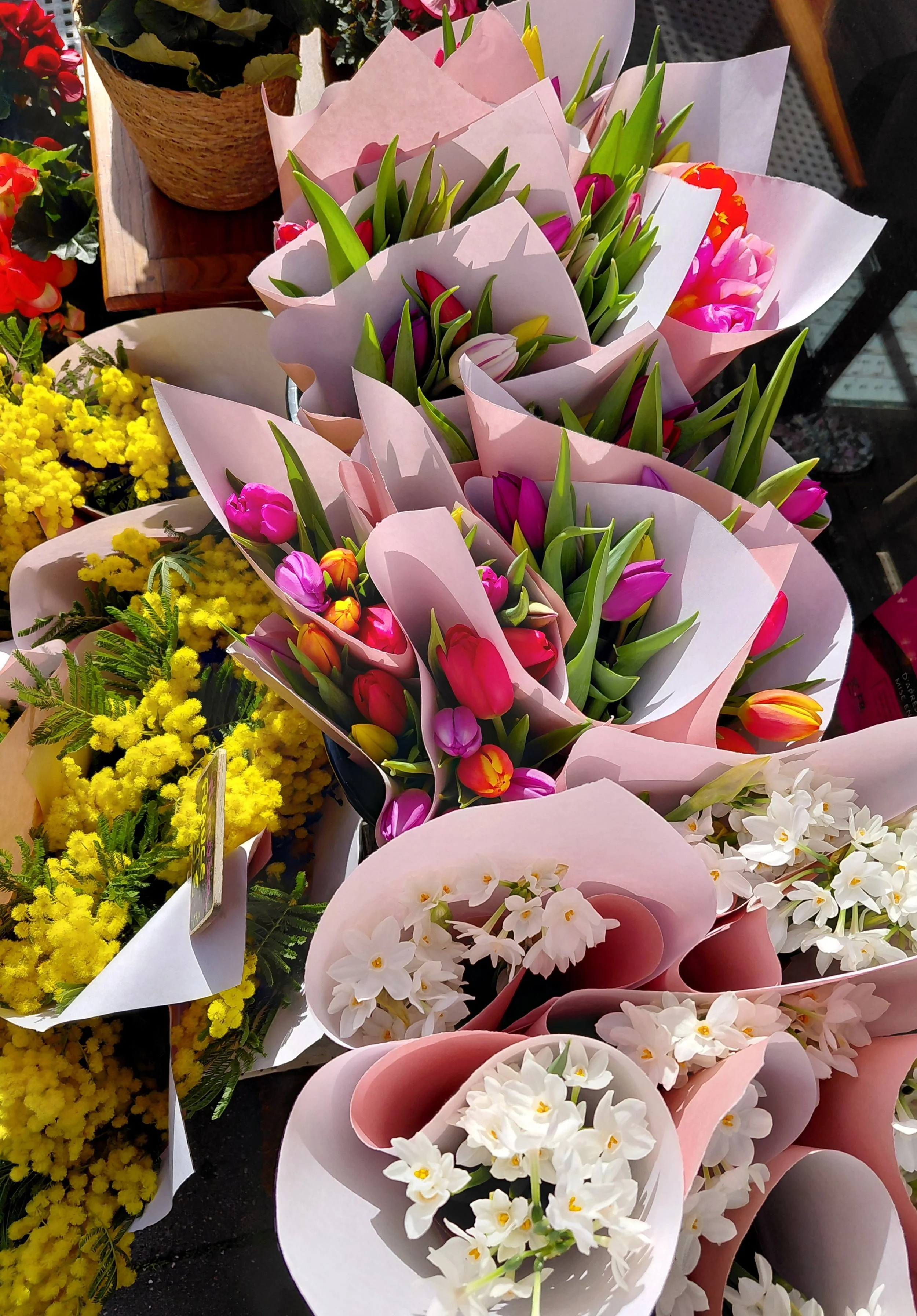 20260226_112751 (1).jpg