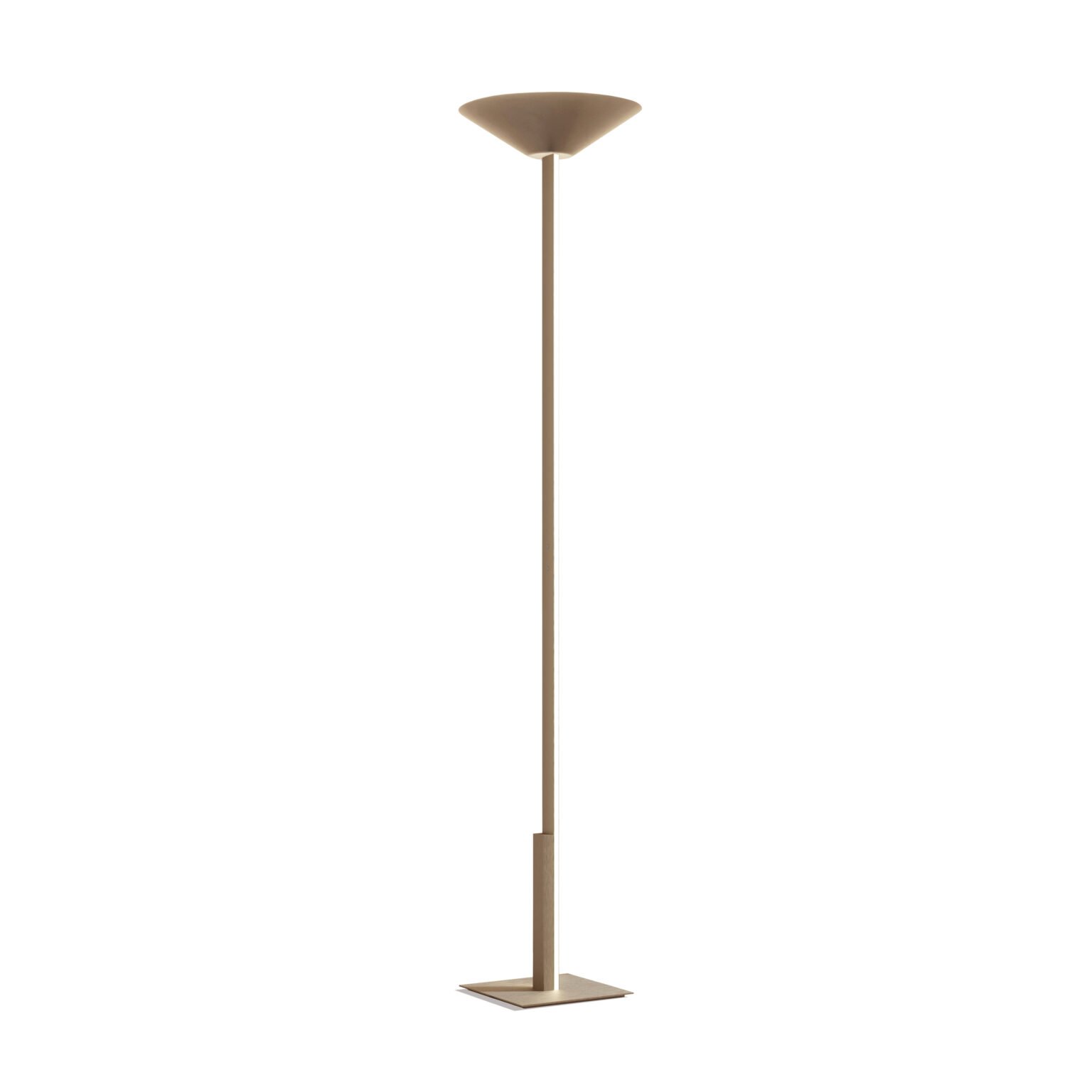 1-Fly-torch-1-1536x1536.jpg